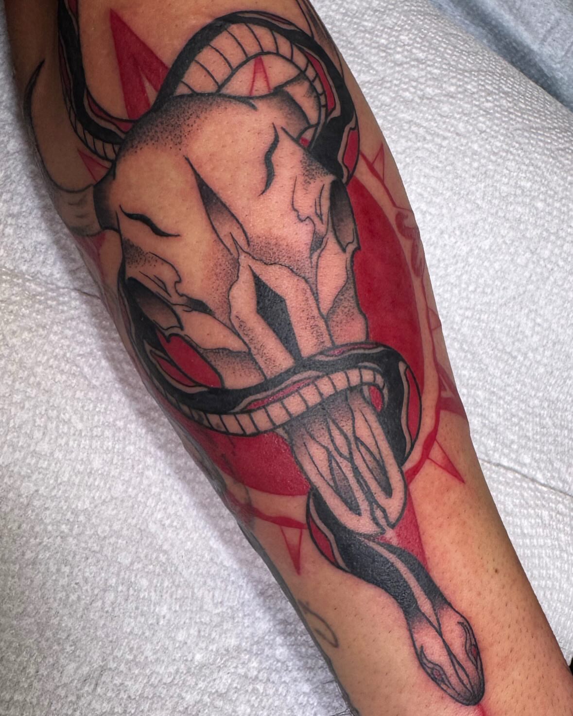 Man with snake American traditional tattoo on the forearm by Paul Giovis
