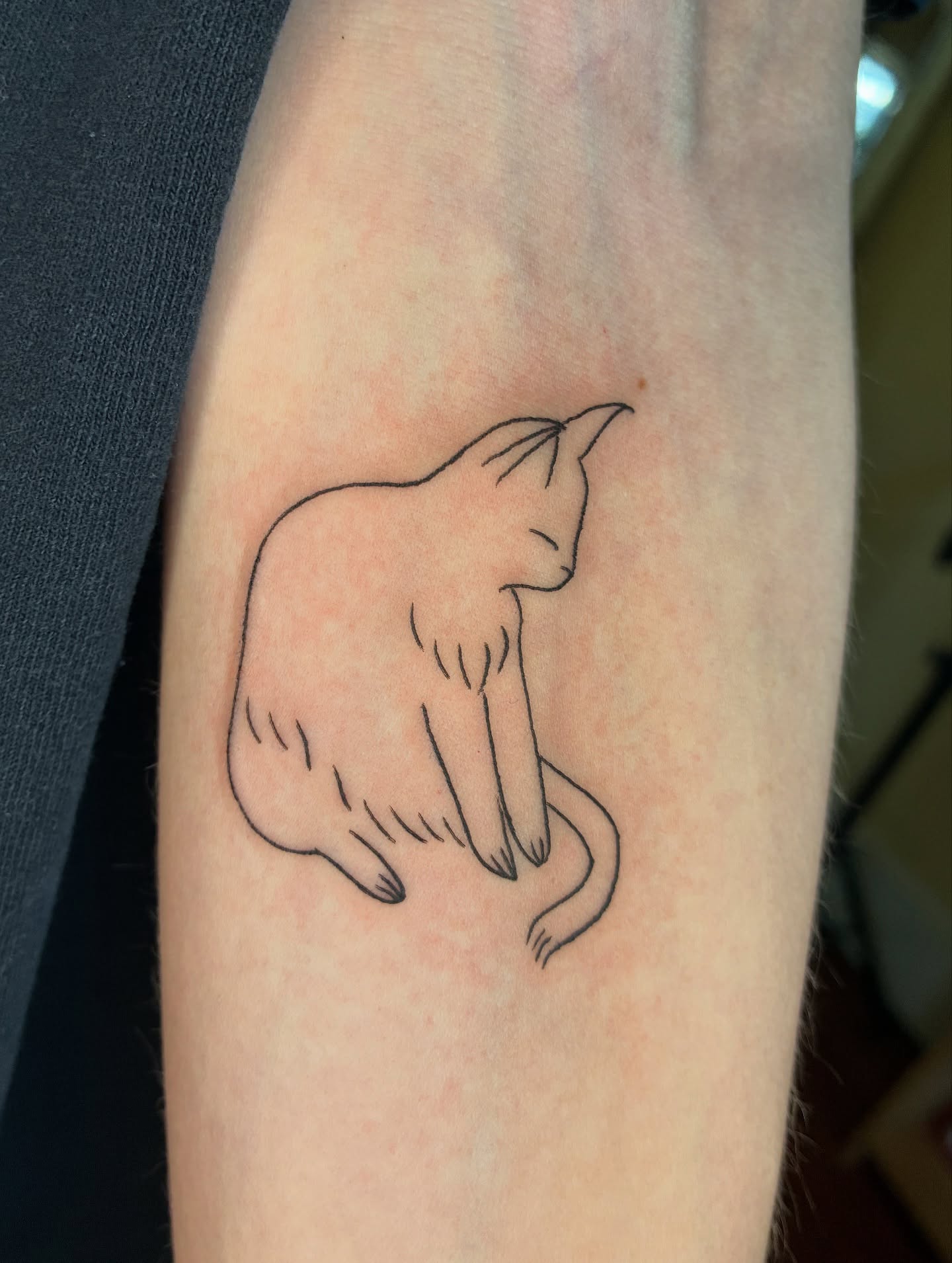 Cat minimalist tattoo on the forearm by Steph Liebetreu