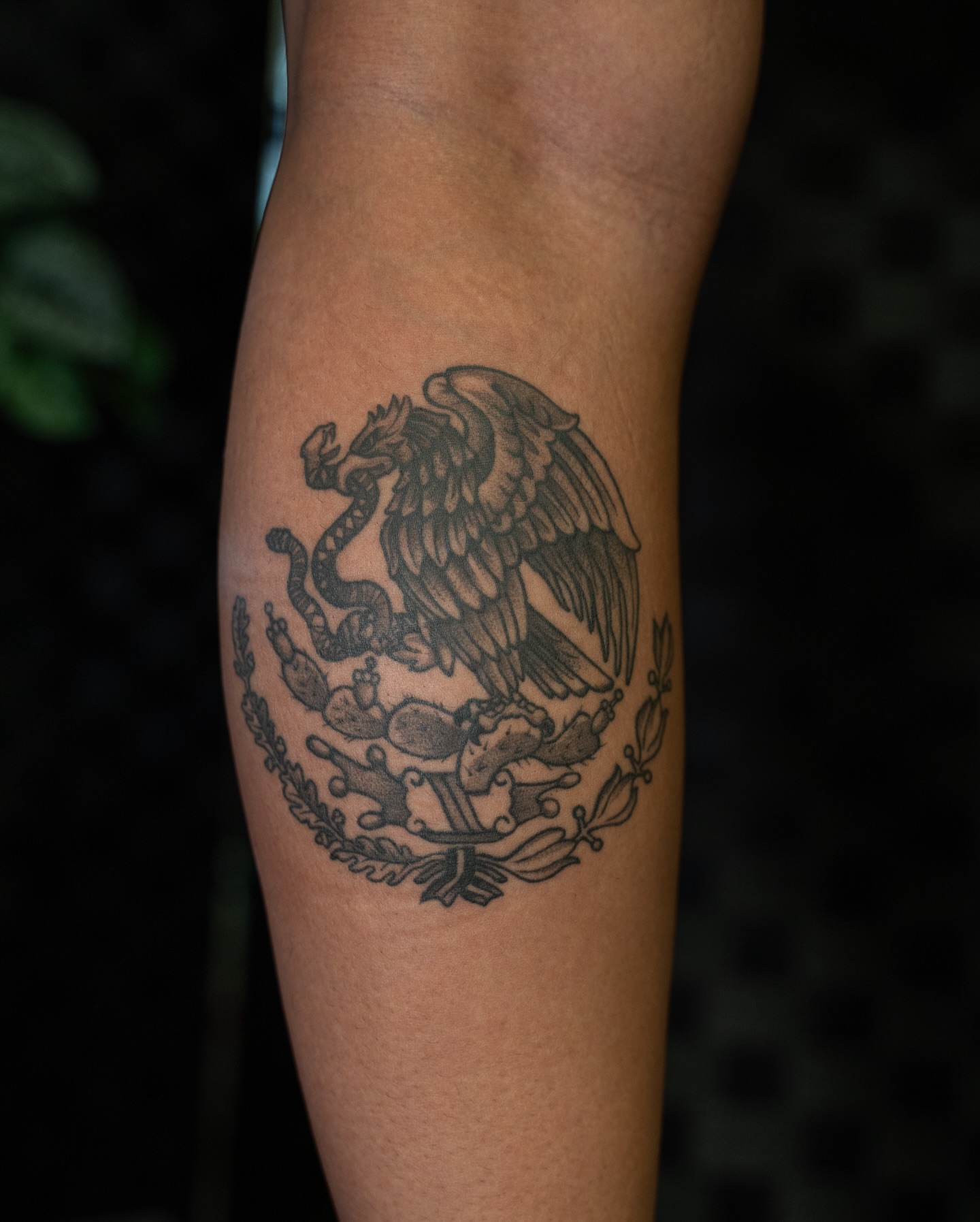 Eagle and snake black and grey tattoo on the forearm by Chris Estrada