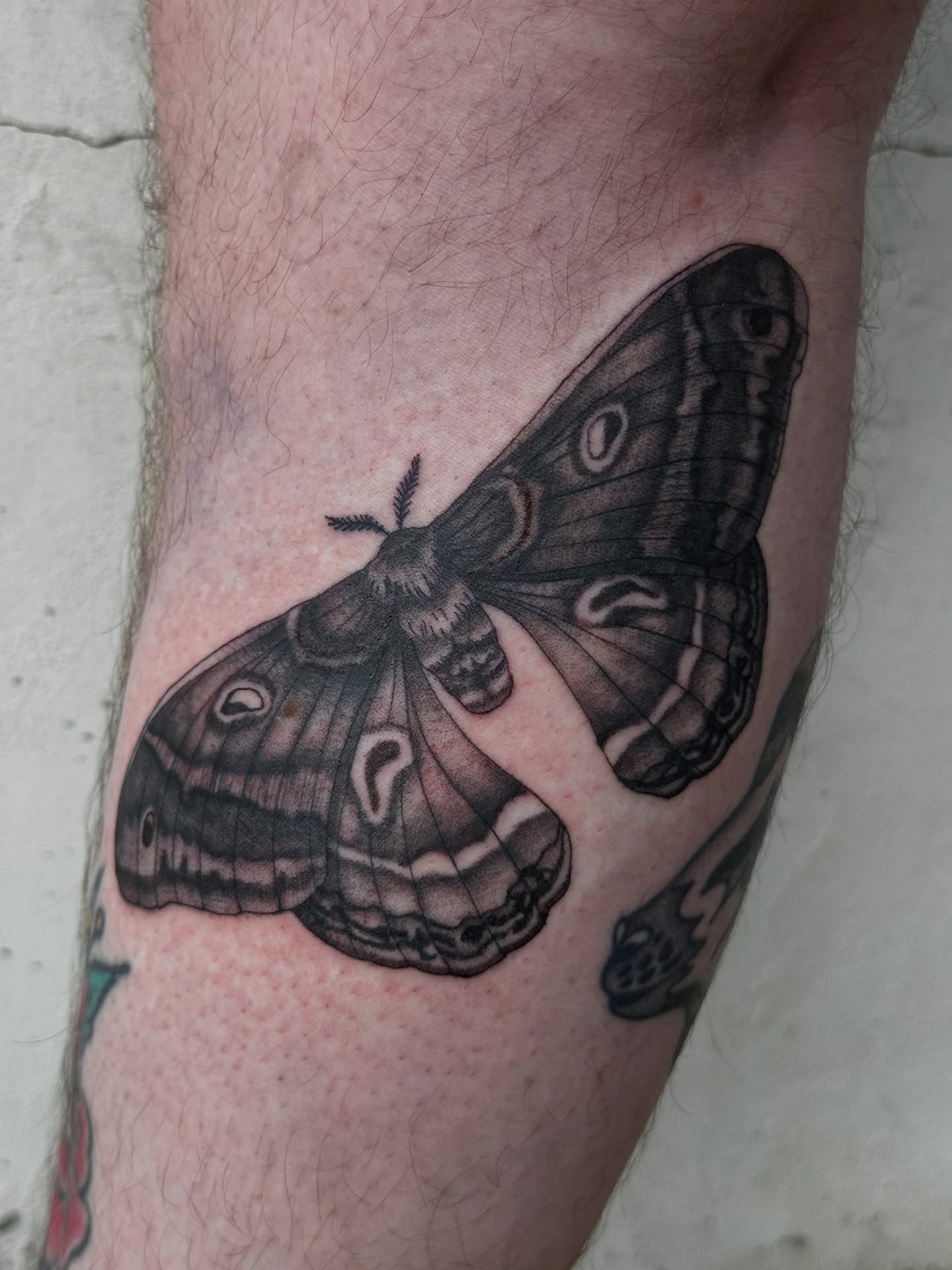 Tattoo by @fathertats โ realism