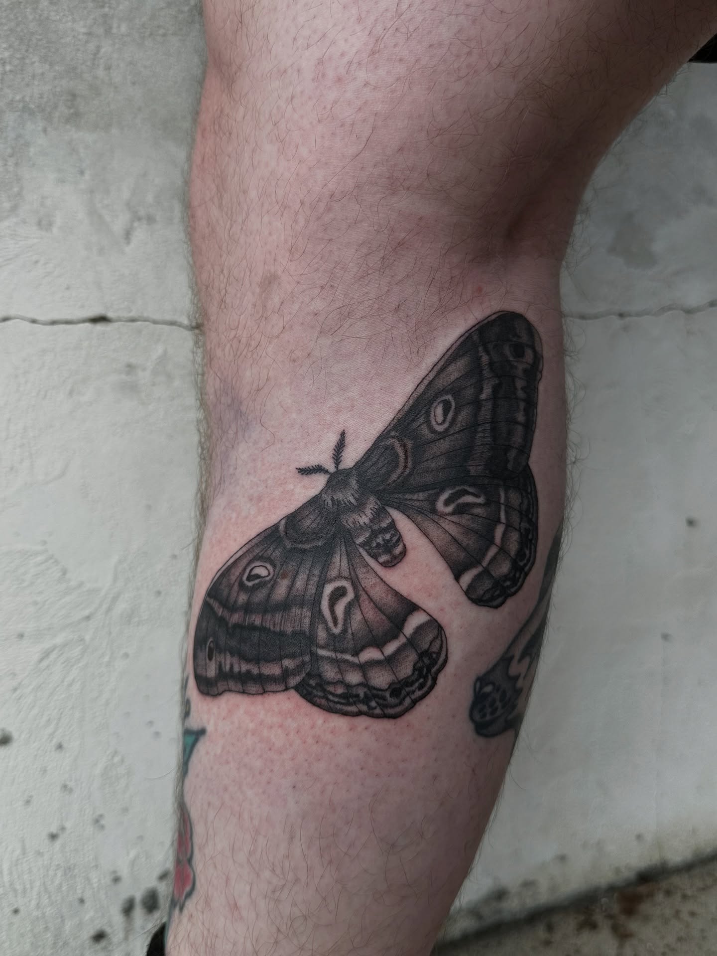 Tattoo by @fathertats โ black_and_grey