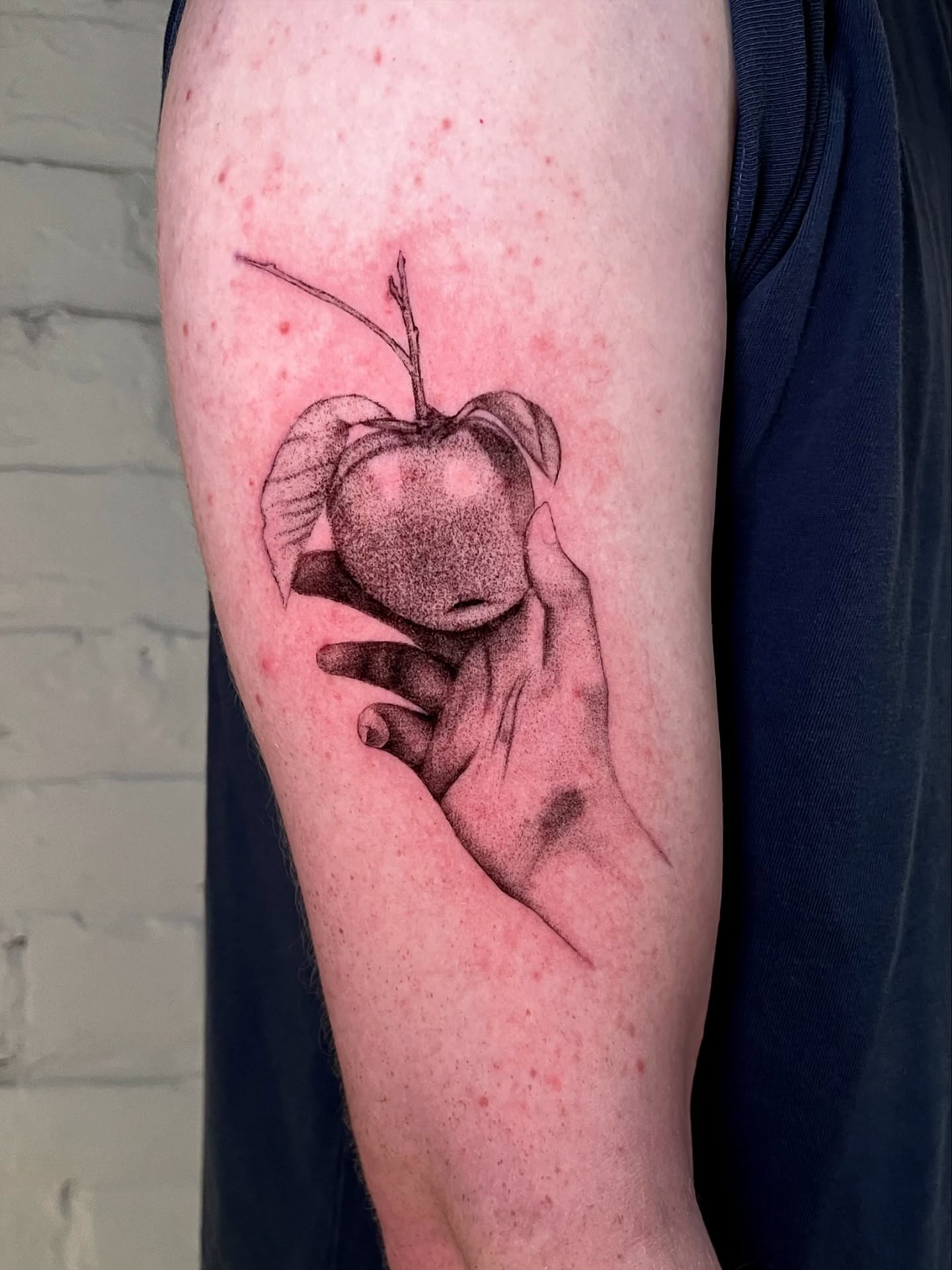 Apple dotwork tattoo on the forearm by Maddy Paige