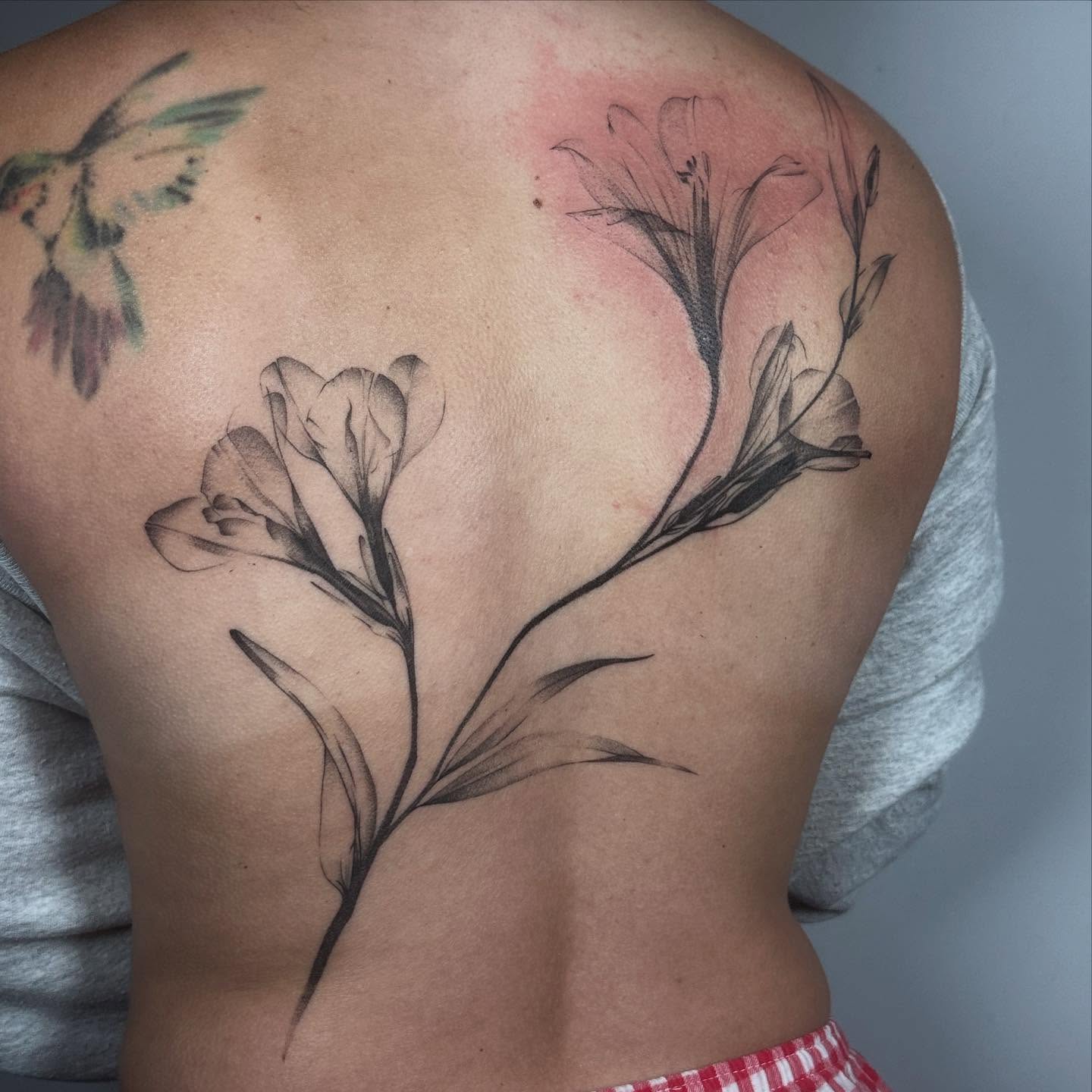 Flower branch black and grey tattoo on the back by ๐๐๐๐ ๐๐๐๐