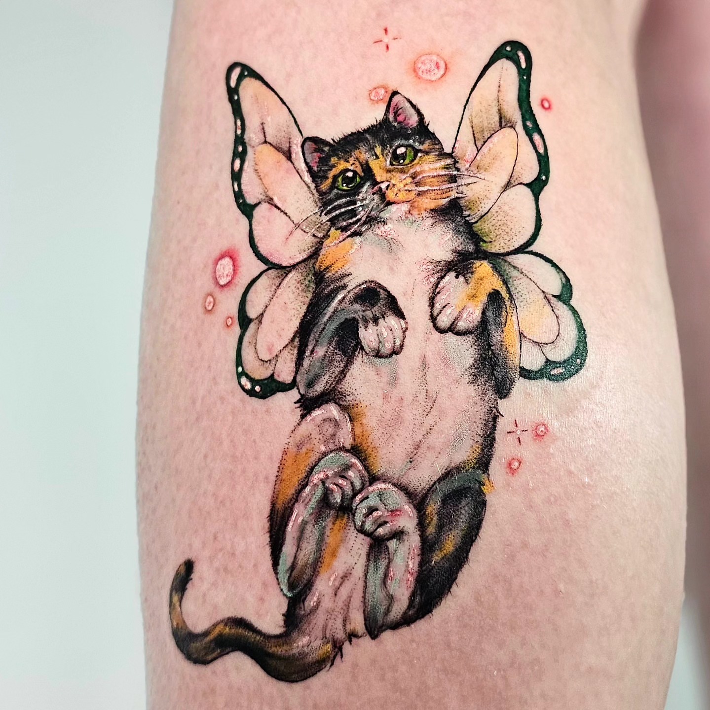 Cat with butterfly wings illustrative tattoo on the forearm by Madelynne