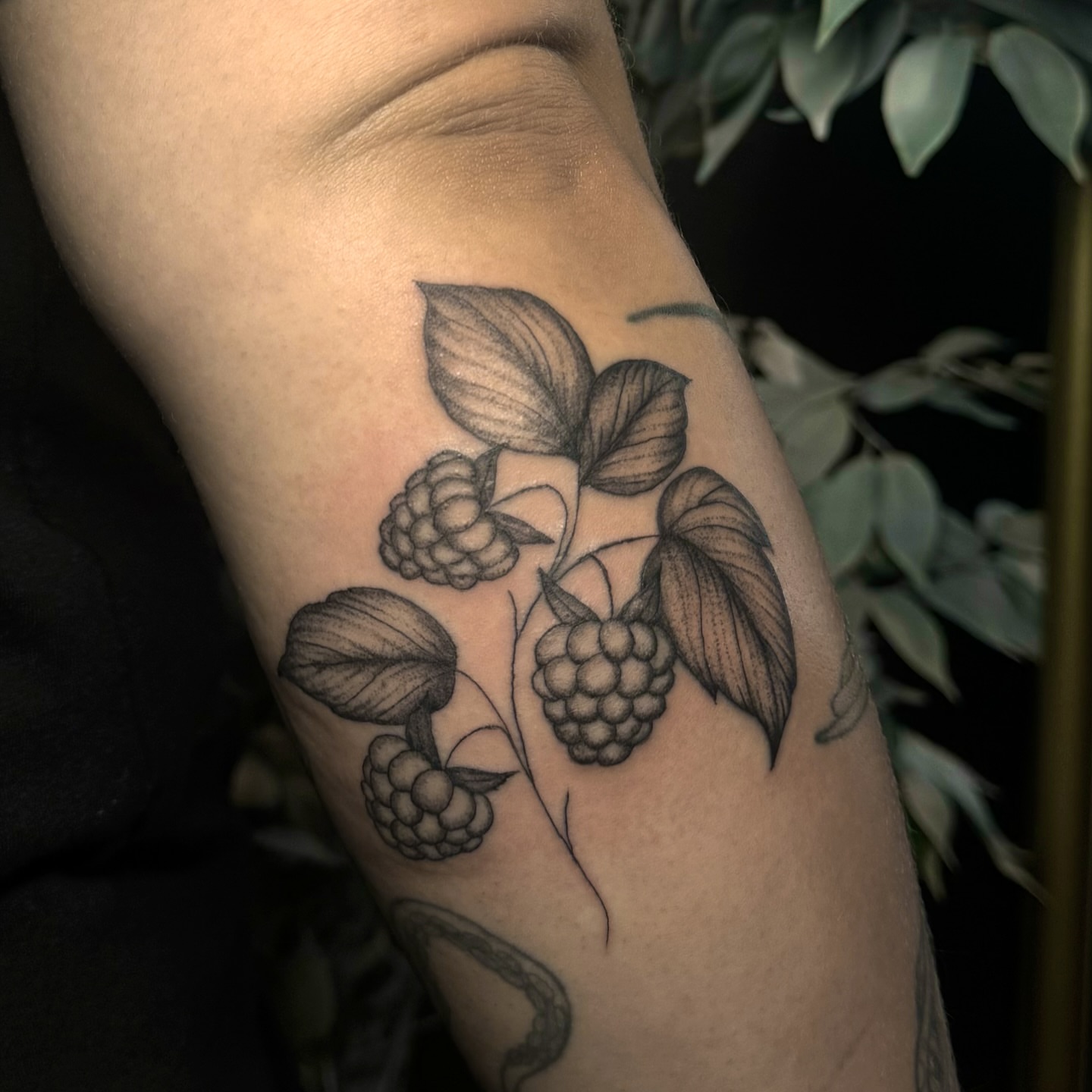 Raspberries and leaves black and grey tattoo on the forearm by Kam Mills