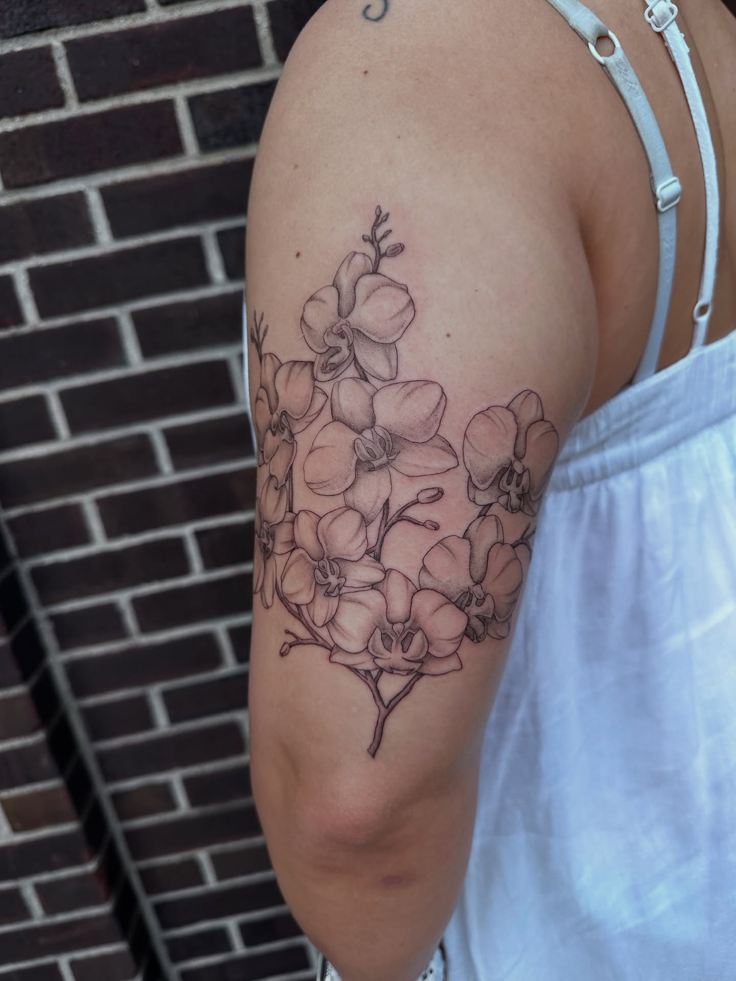 Orchids black and grey tattoo on the shoulder by Hail Chaney, Somerville, Massachusetts
