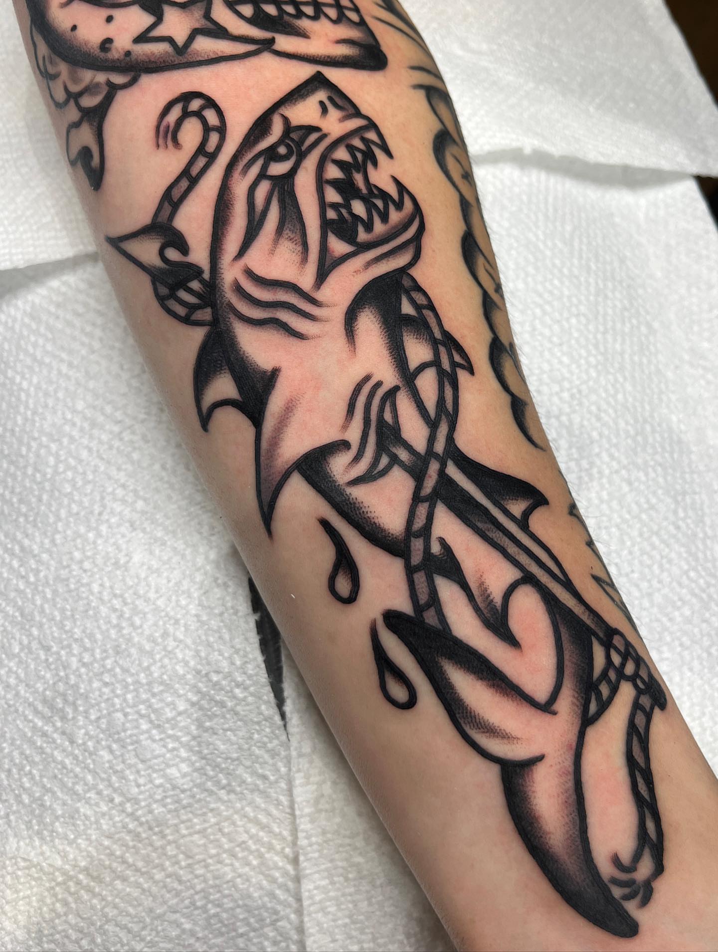 Shark American traditional tattoo on the forearm by Charlie Ostrom, Durham, North Carolina