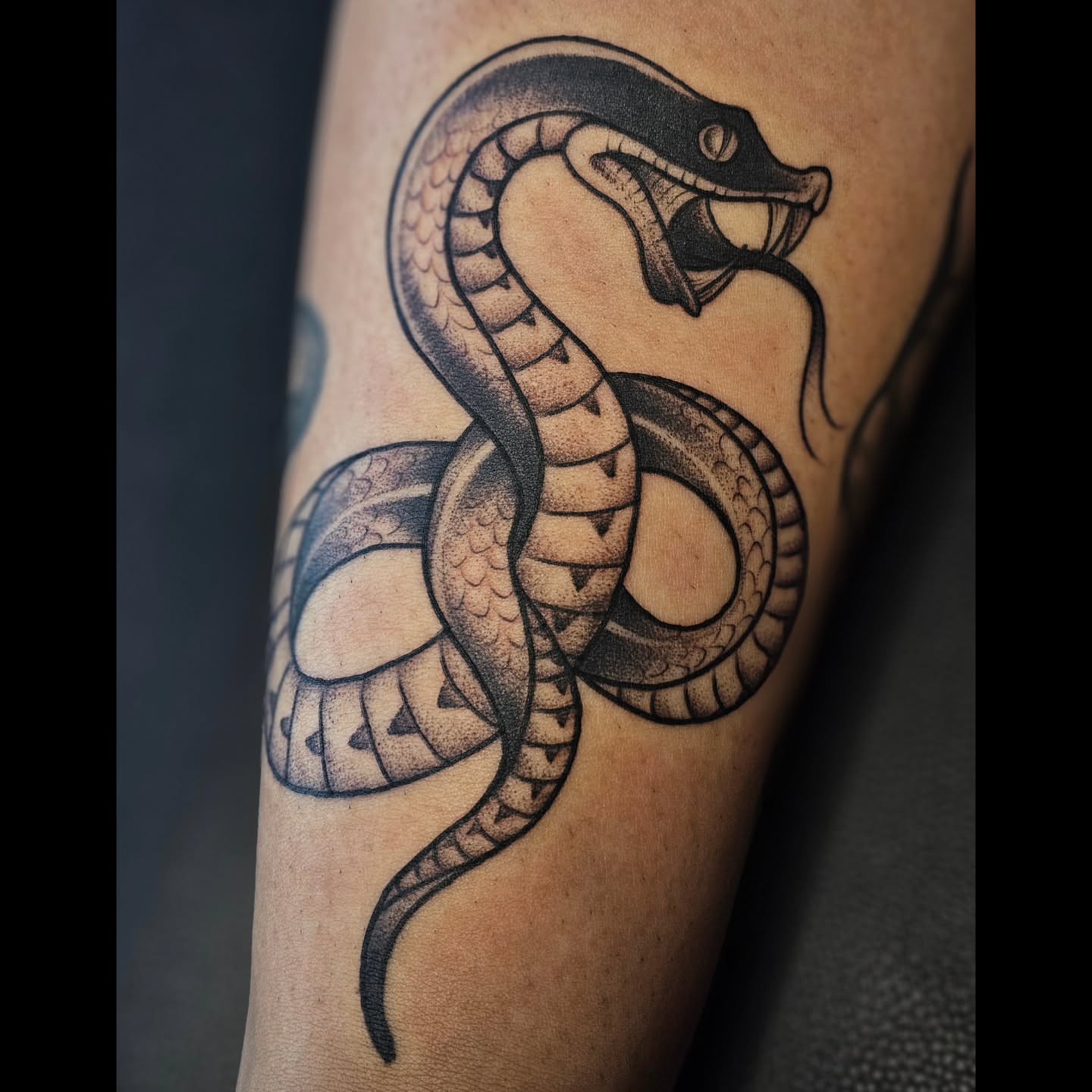 Snake black and grey tattoo on the forearm by Concetta Laren Armijo