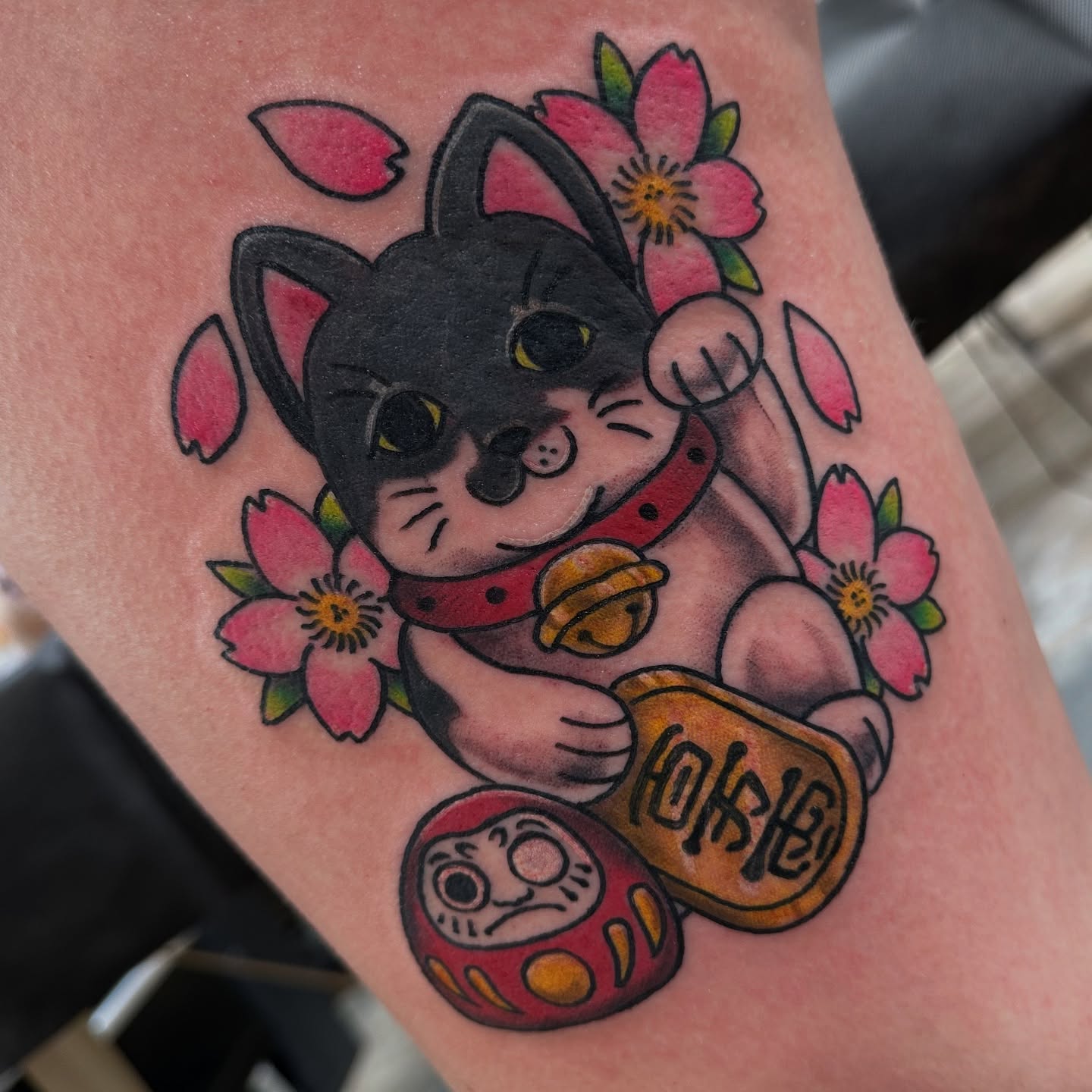 Cat with cherry blossoms American traditional tattoo on the forearm by Emily K Lingg