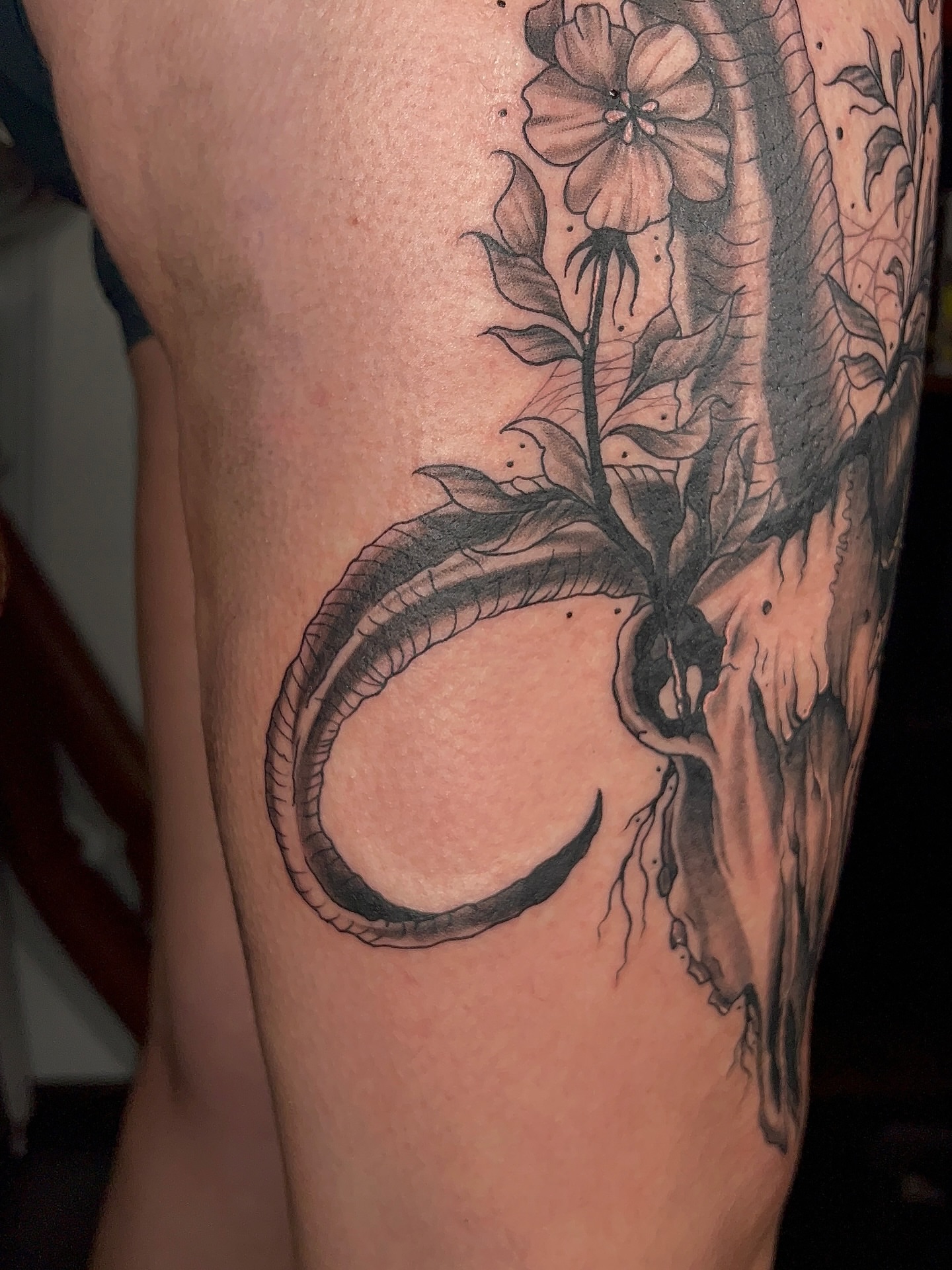 Snake and flower realism tattoo on the thigh by Denis Seregin