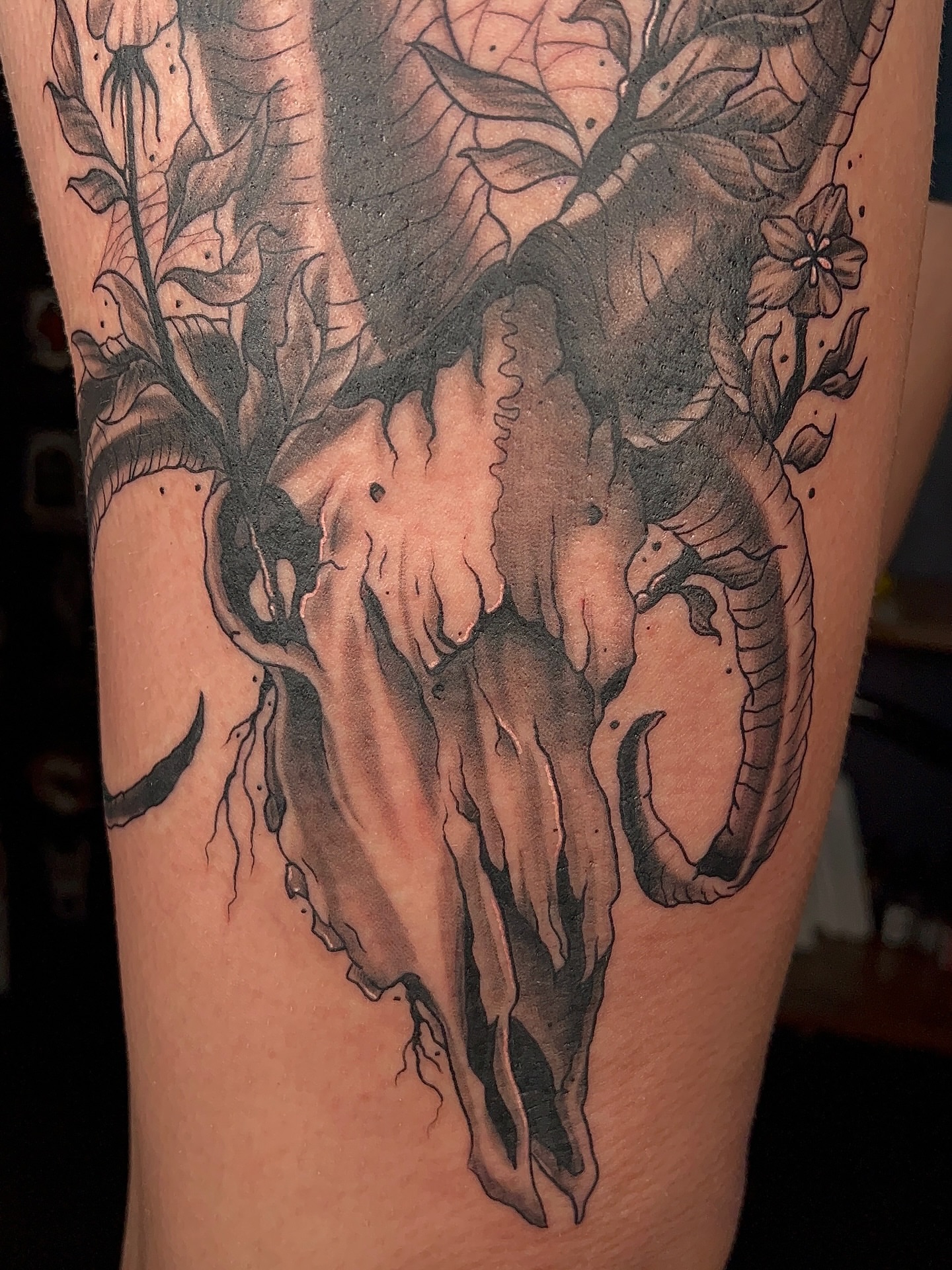 Deer skull realism tattoo on the forearm by Denis Seregin