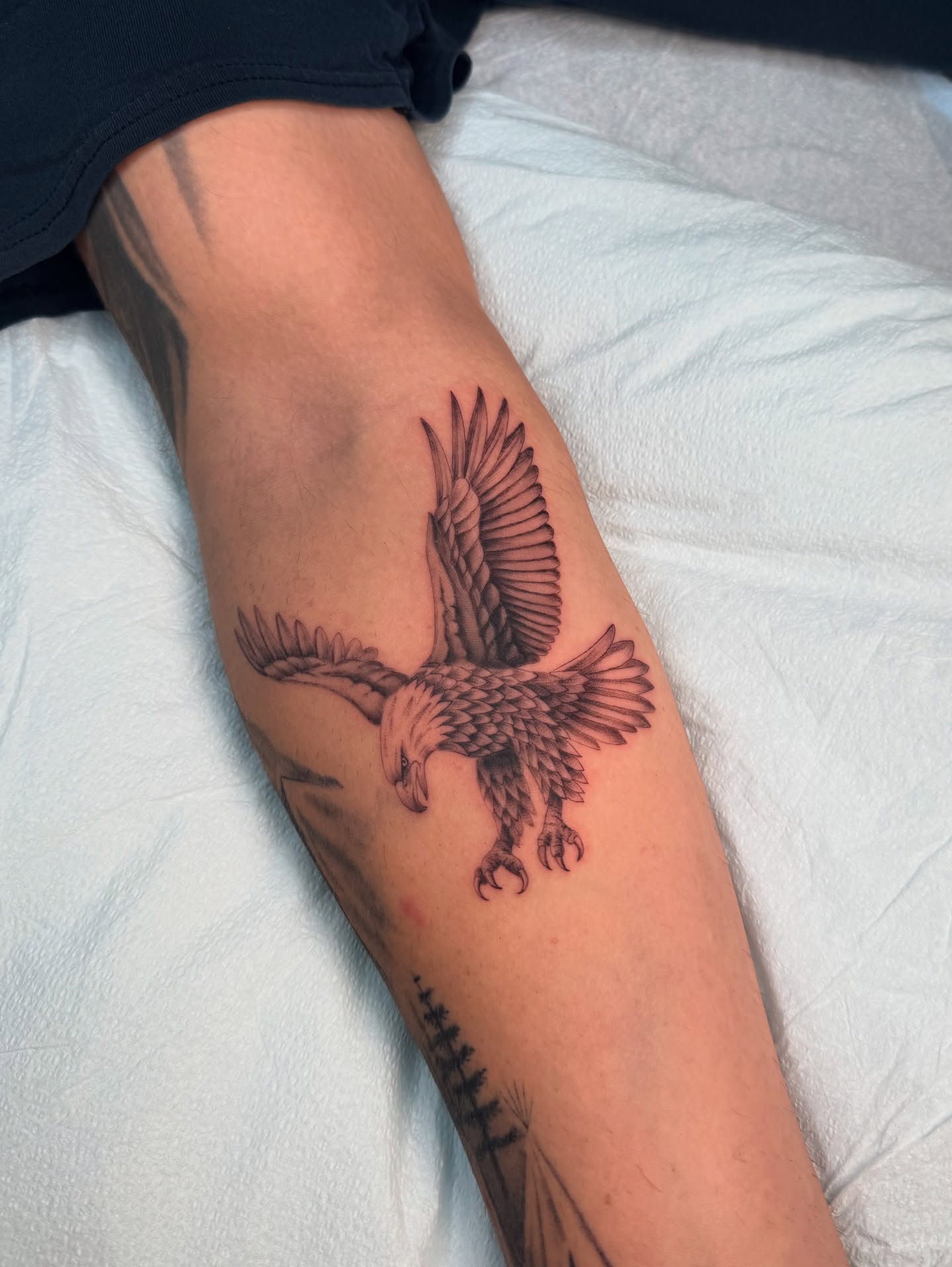 Eagle realism tattoo on the forearm by Truett Payton