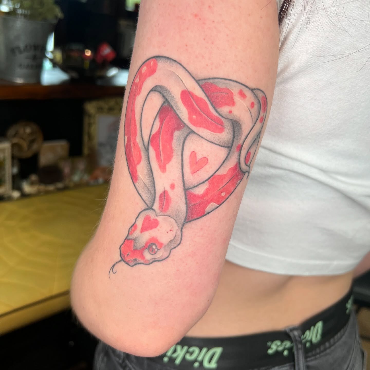 Snake trash polka tattoo on the forearm by Maia Papaya Tattoos 🐝 Olympia Tattoo Artist