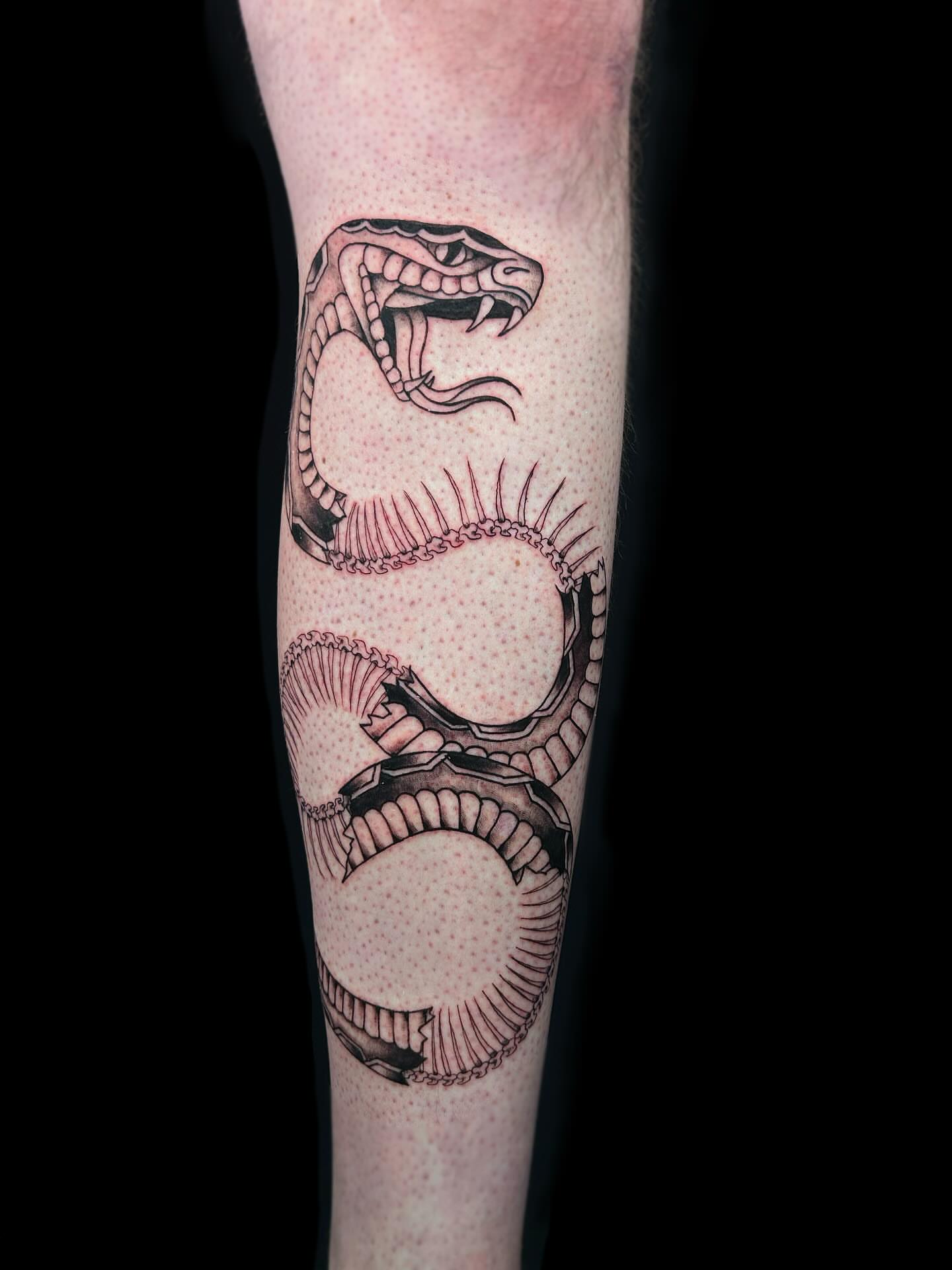 Snake dotwork tattoo on the forearm by Kipling Mcclellan