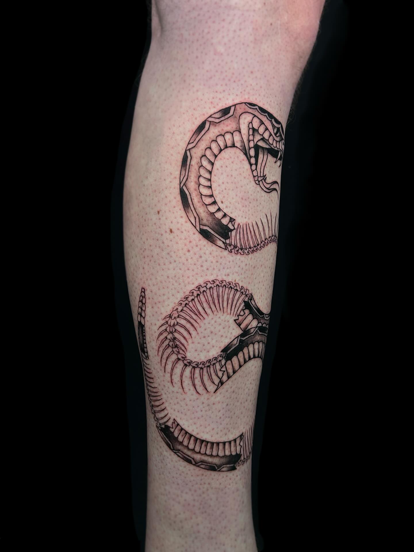 Snake dotwork tattoo on the forearm by Kipling Mcclellan
