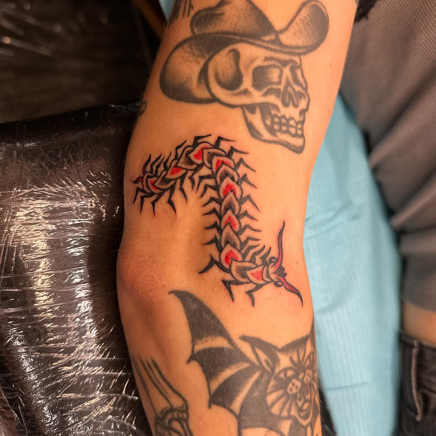 Cowboy skull with centipede American traditional tattoo on the forearm by Stacy Fevinger