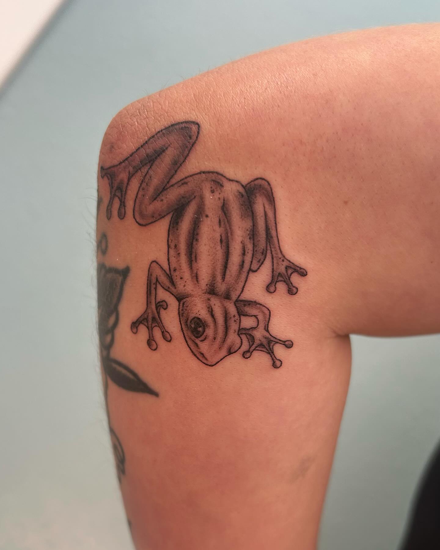 Tattoo by @chaotic__fern β realism