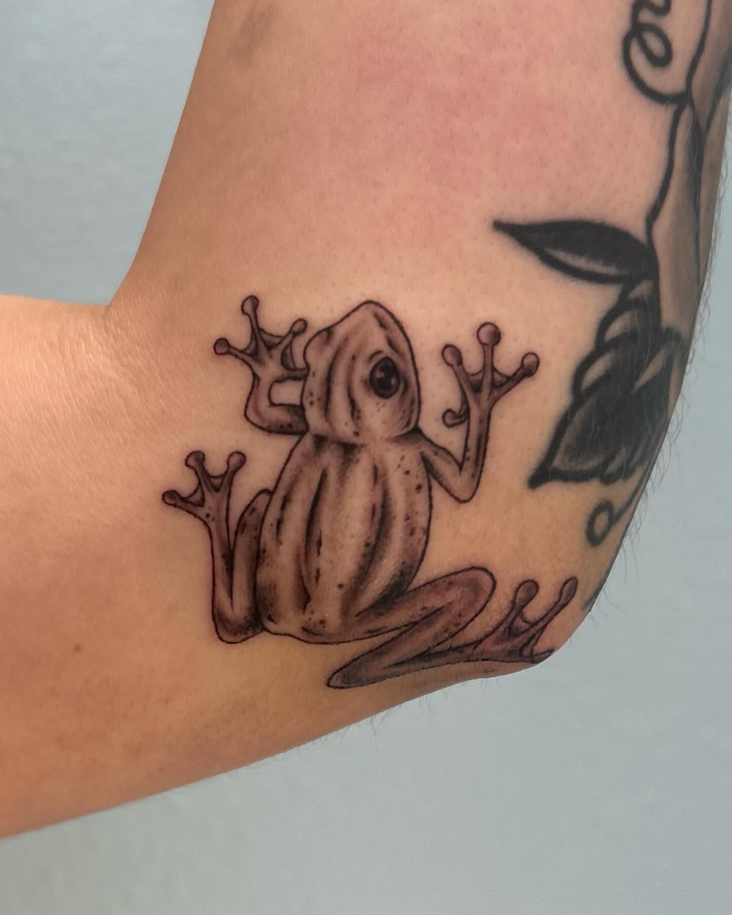 Tattoo by @chaotic__fern β realism