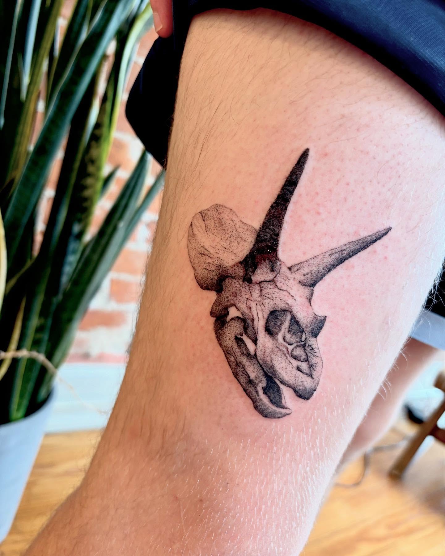 Triceratops skull dotwork tattoo on the thigh by madison, Cincinnati
