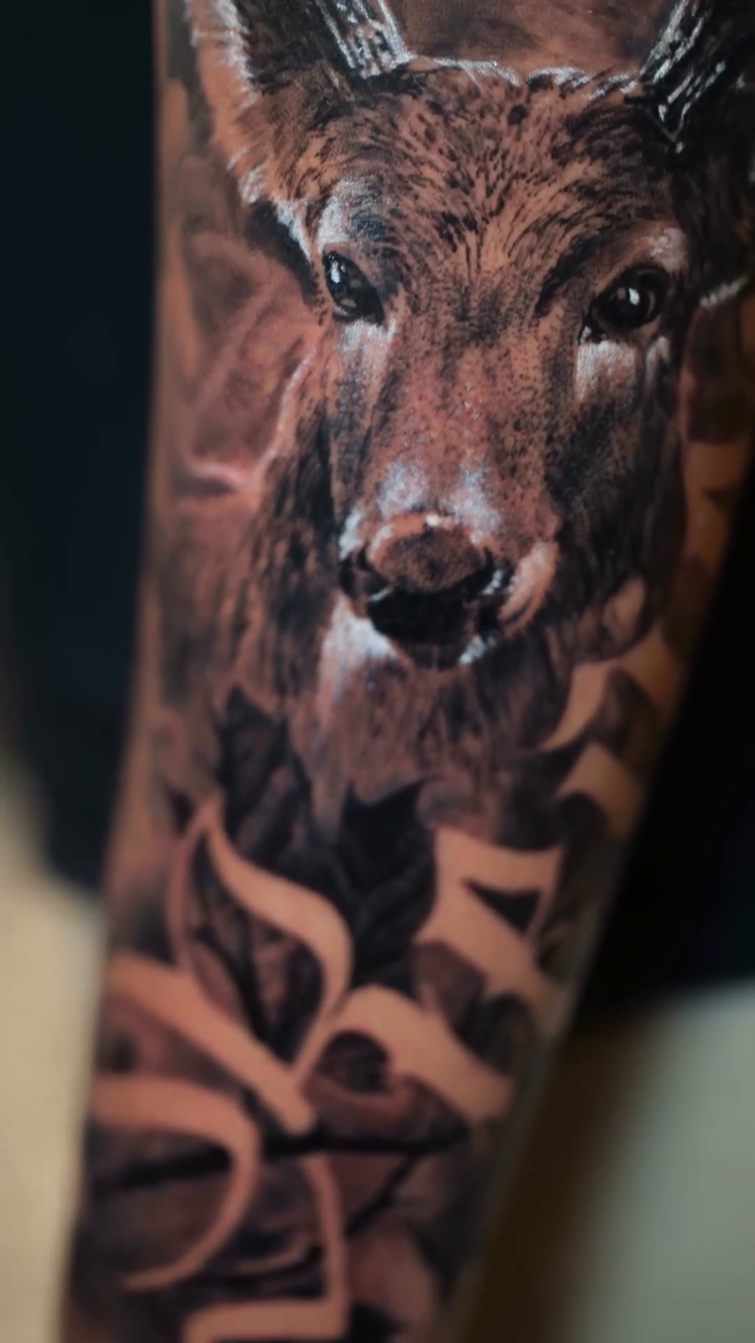 Deer head with foliage and script realism tattoo on the forearm by Joel: Boston Tattoo Artist, Boston, Massachusetts