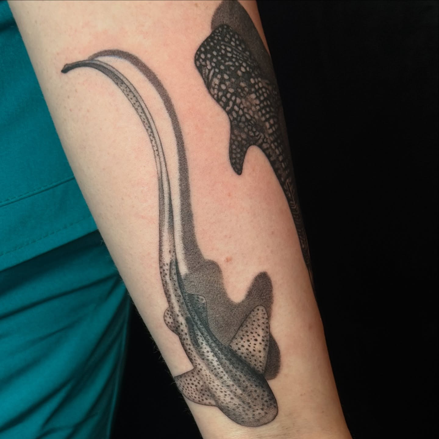 Tattoo by @elian.tattoos — dotwork