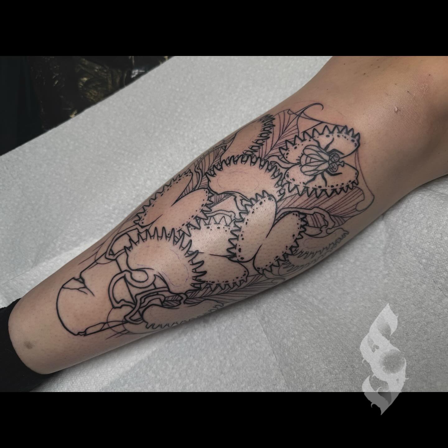 Bear black and grey tattoo on the forearm by Amanda Stampfly