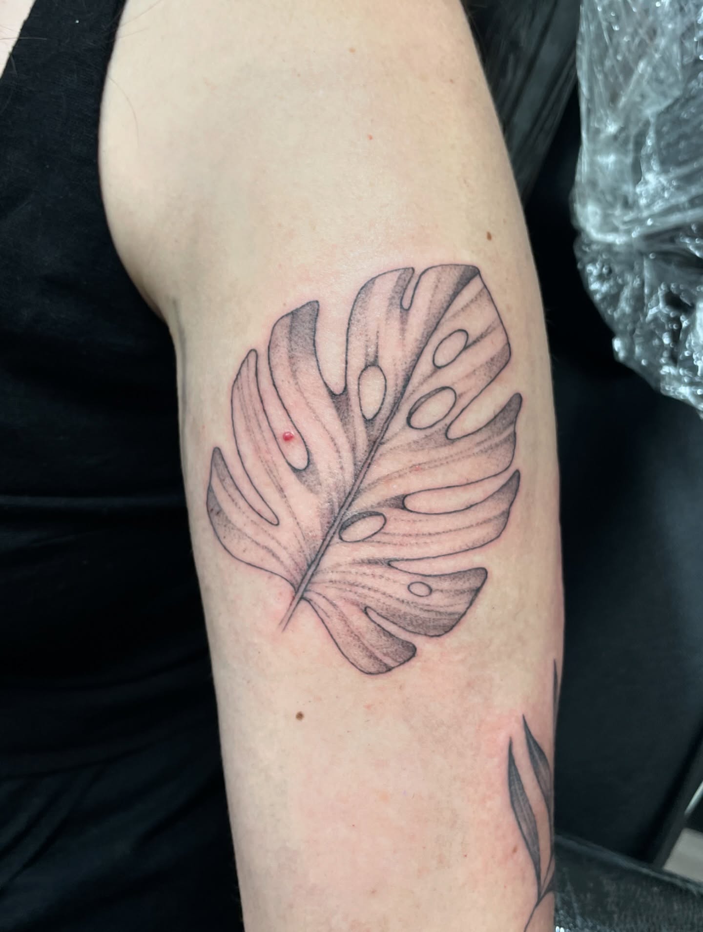 Monstera leaf black and grey tattoo on the forearm by 𝕯𝖔𝖒