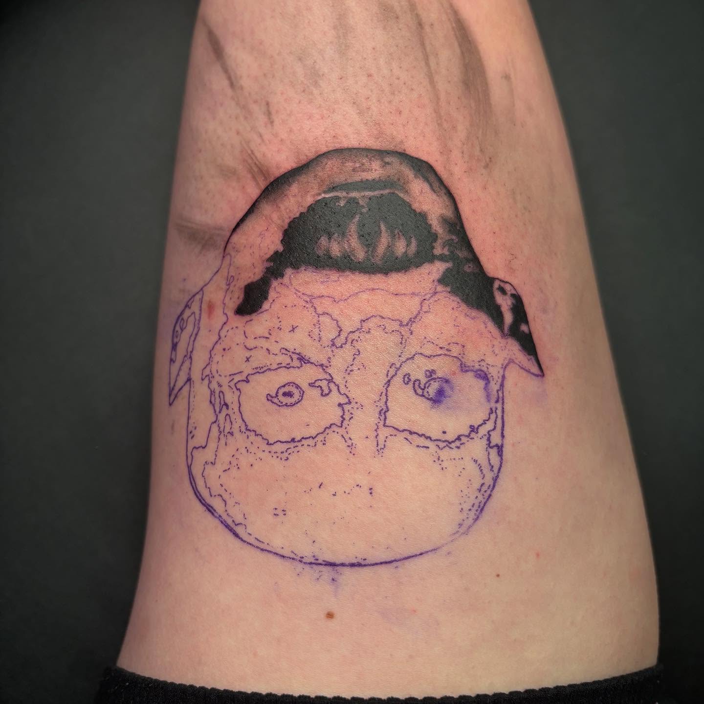 Tattoo by @piscesiscariot11 โ dotwork