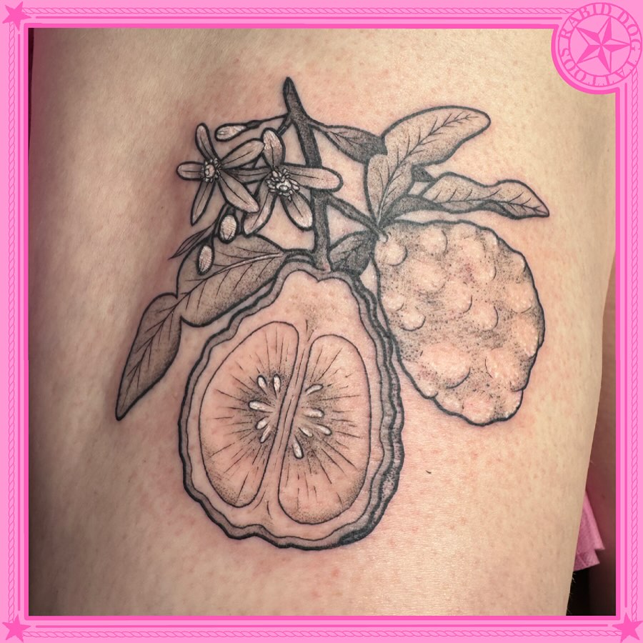 Kiwi fruit realism tattoo on the thigh by 𝕷𝖊𝖝𝖎 𝕽𝖚𝖓𝖞𝖔𝖓