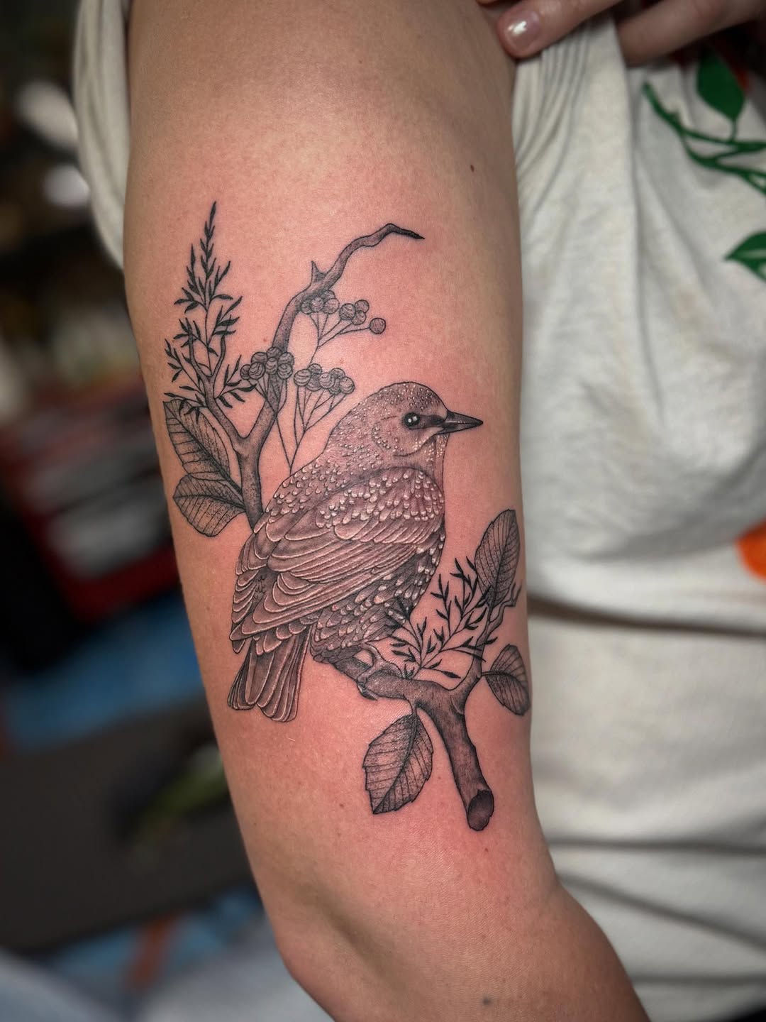 Tattoo by @coreychav.tattoos β realism, black_and_grey