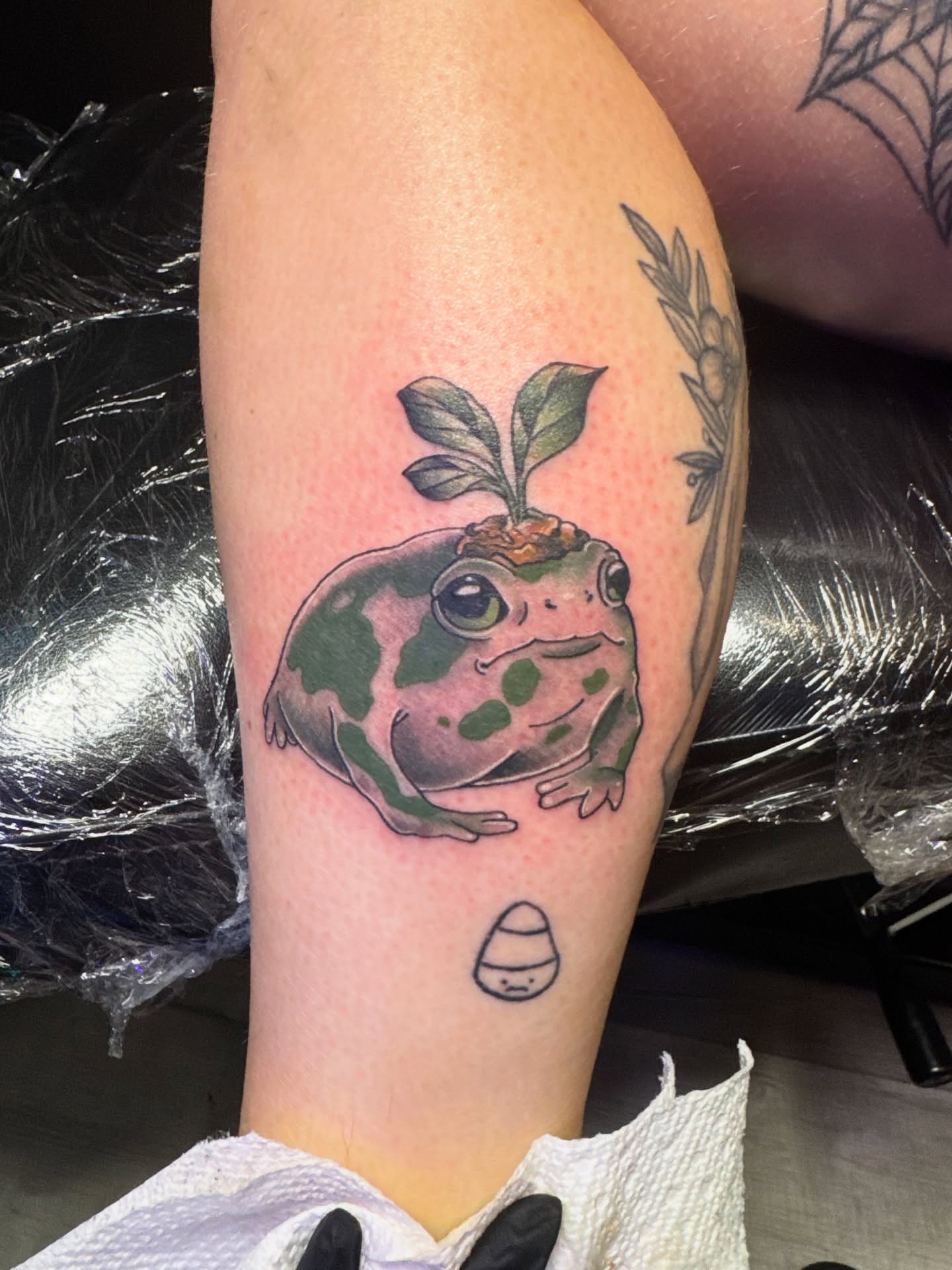Frog realism tattoo on the forearm by 👾 not ur baby’s ink 👾