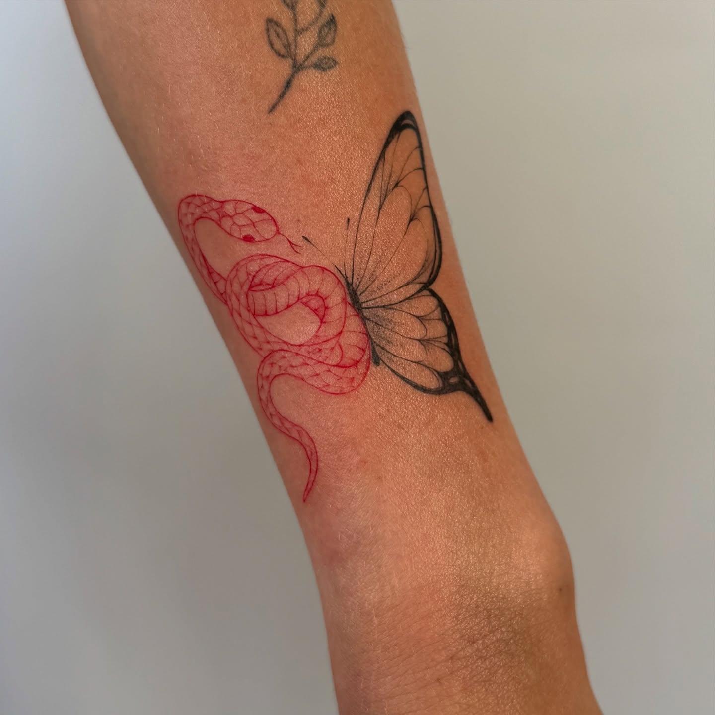 Snake and butterfly black and grey tattoo on the forearm by bre