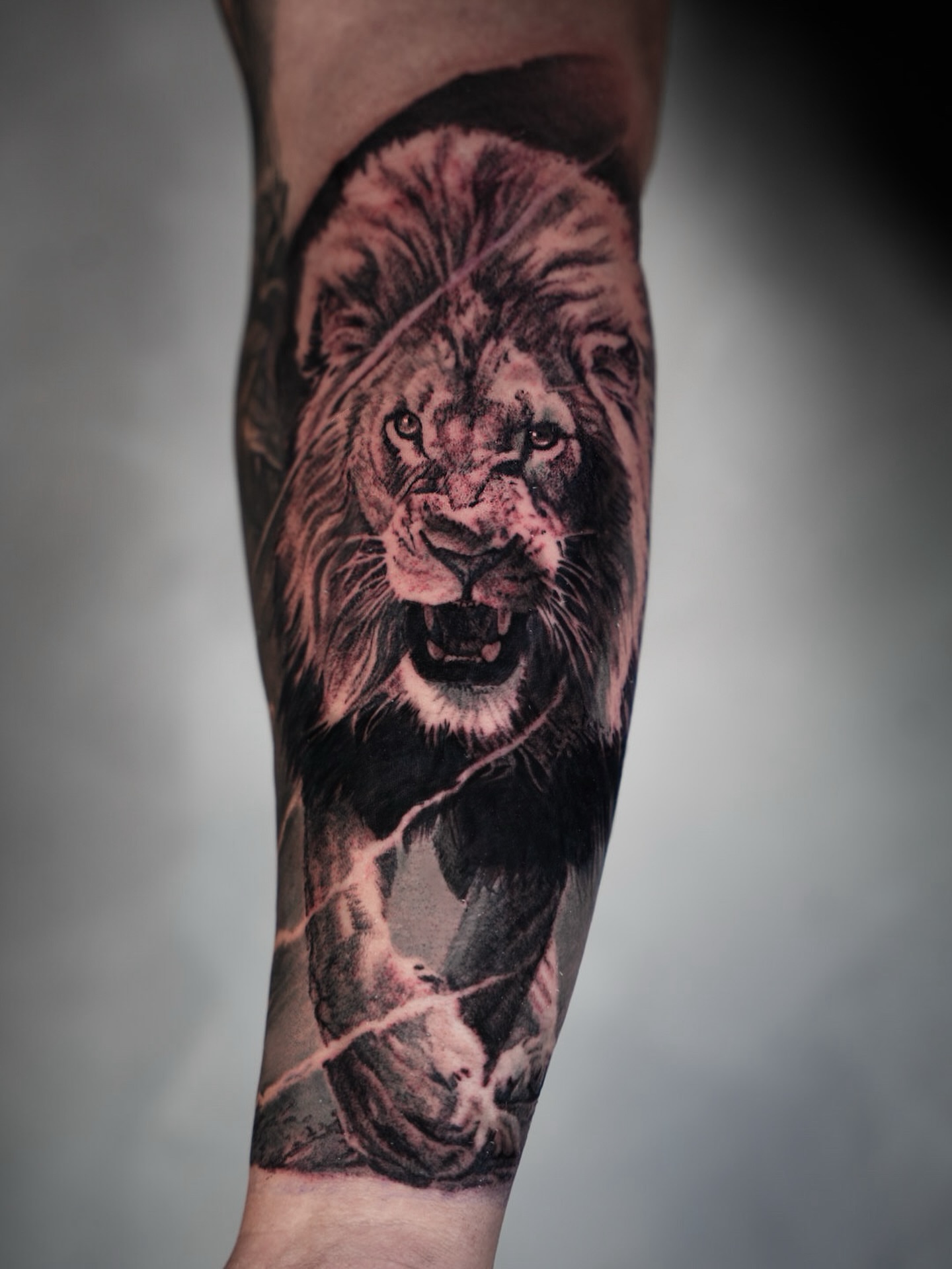 Lion realism tattoo on the forearm by Bailey Lemus
