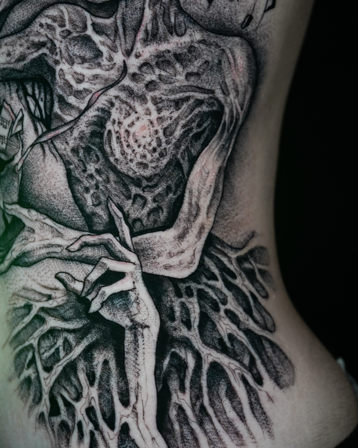 Tattoo by @evi_berry_falcon โ dotwork, realism