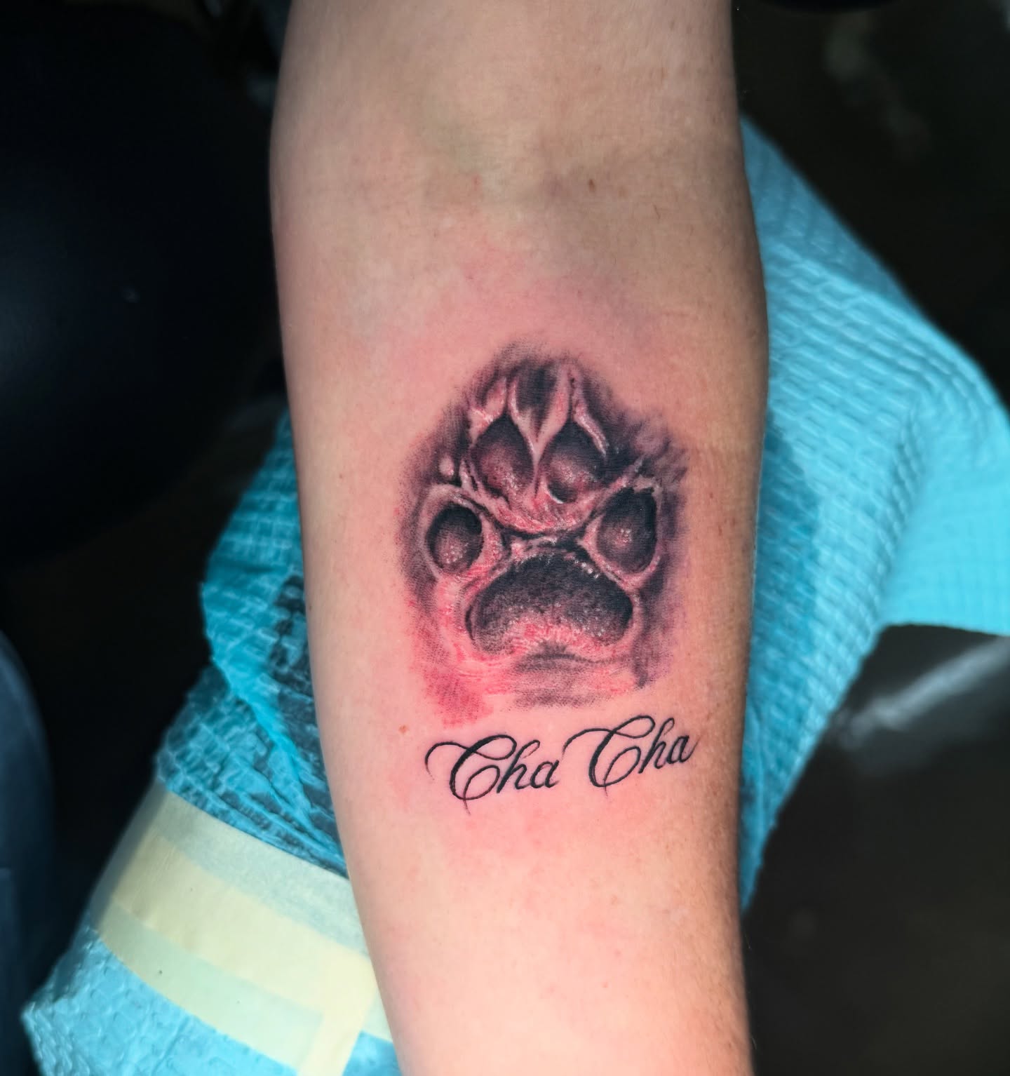 Paw print realism tattoo on the forearm by Trevor Sibary