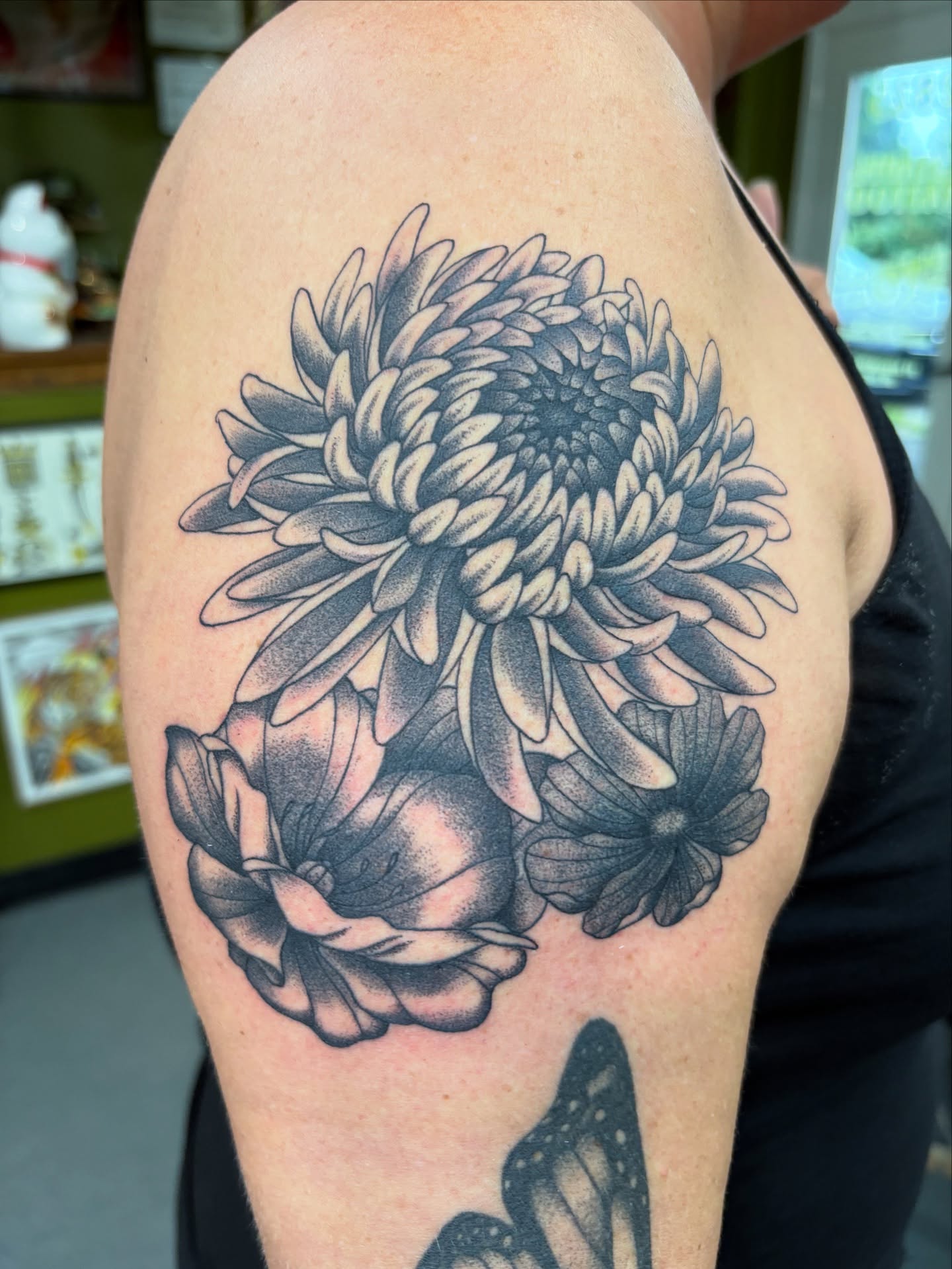Chrysanthemum black and grey tattoo on the shoulder by Jamie Yuu, Minneapolis, Minnesota