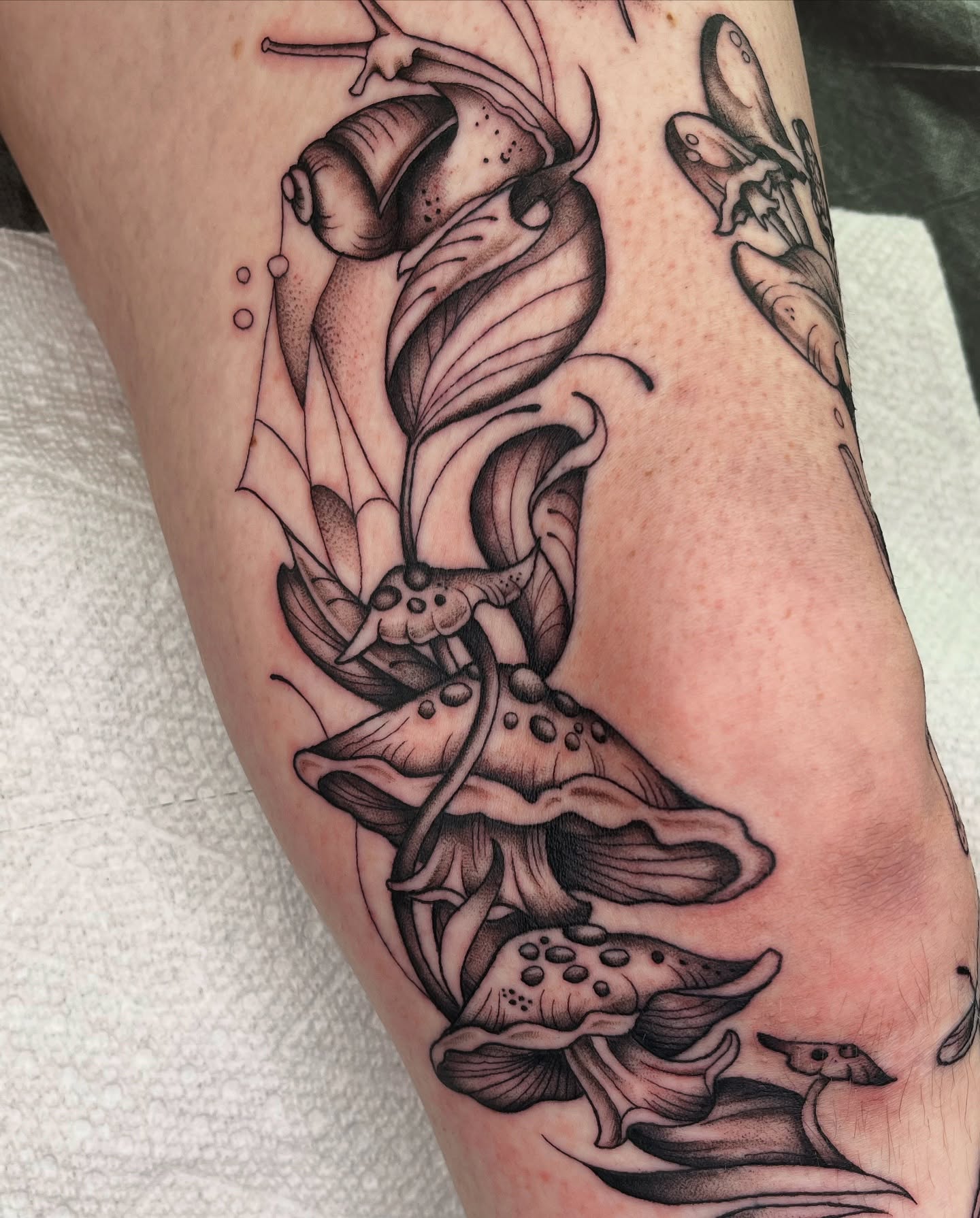 Mushroom cluster realism tattoo on the forearm by Kyla Jae