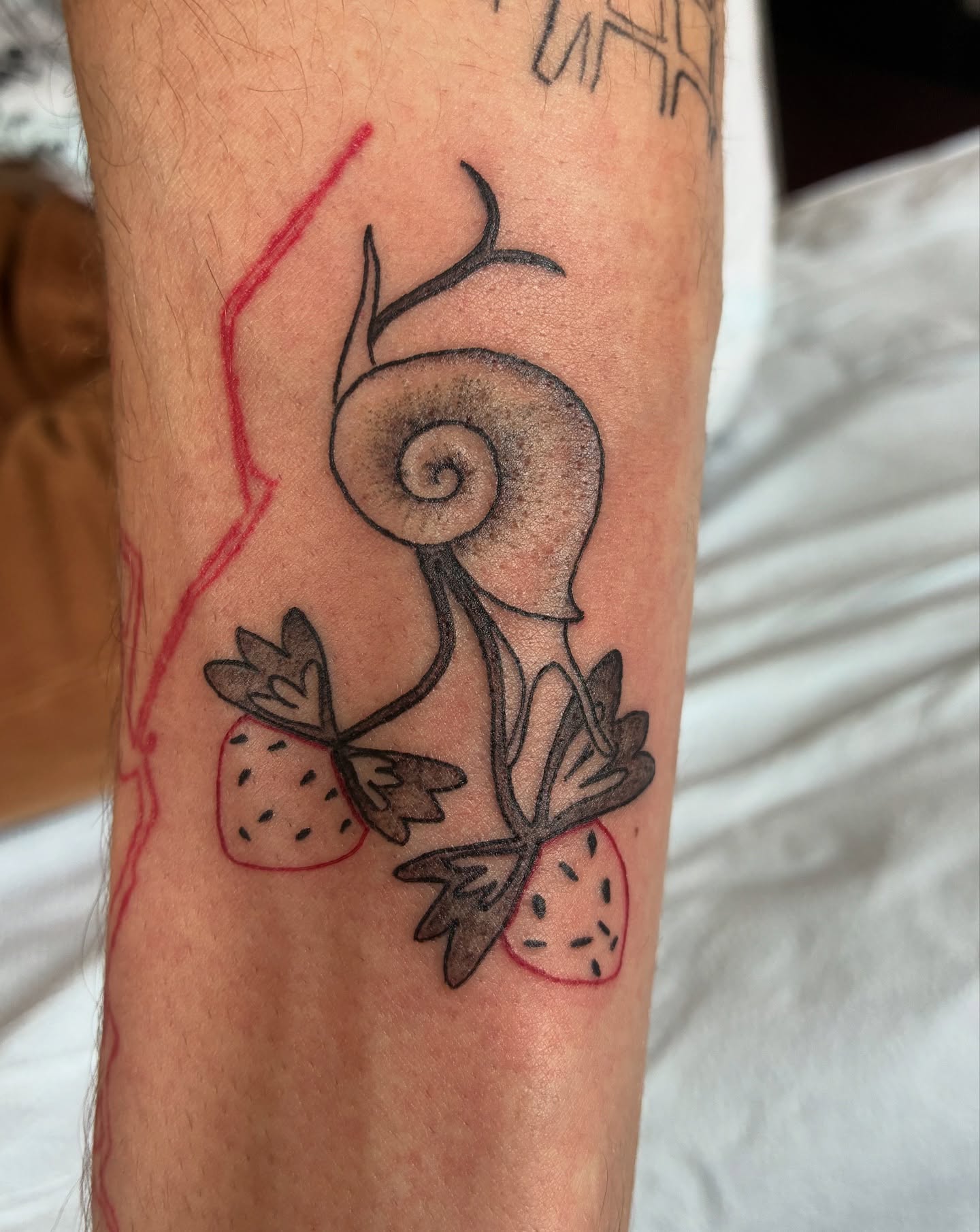 Snail and strawberries black and grey tattoo on the forearm by Steph Liebetreu