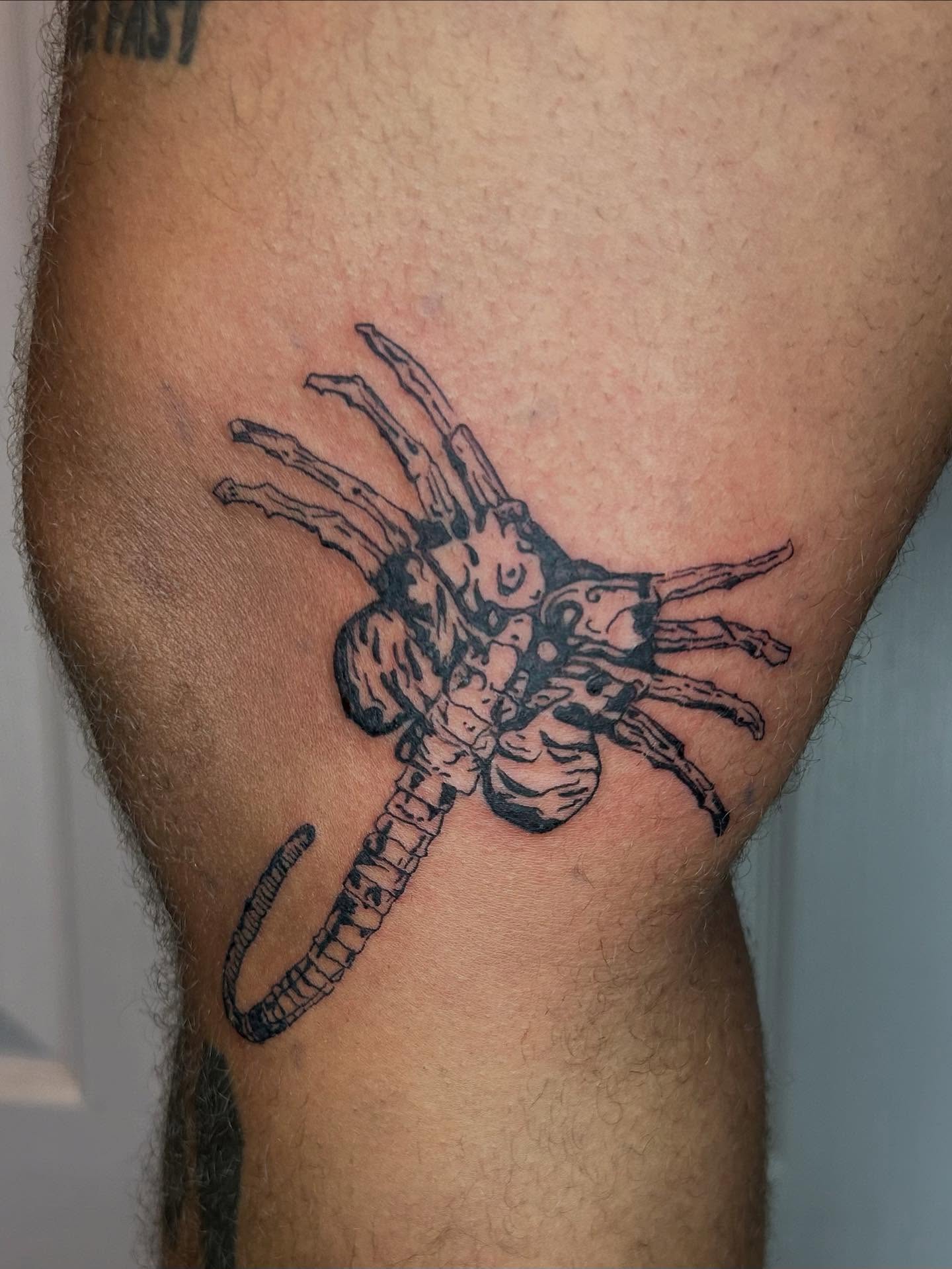 Spider black and grey tattoo on the forearm by (isa)ac ૮₍ ˃̵ࡇ˂̵ ₎ა