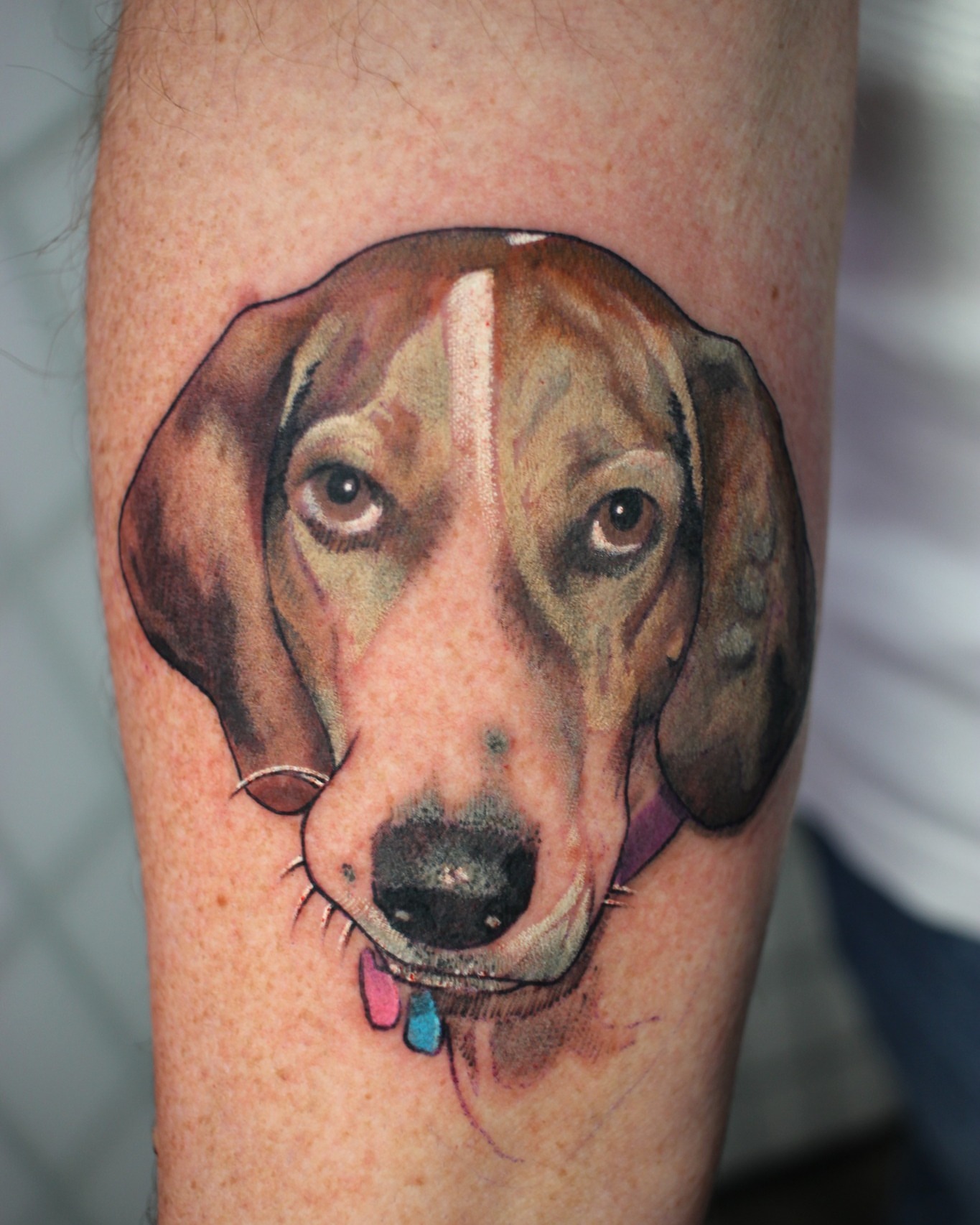 Dog realism tattoo on the forearm by Dustin Quillen Tattoo Artist, Campbellsville, Kentucky