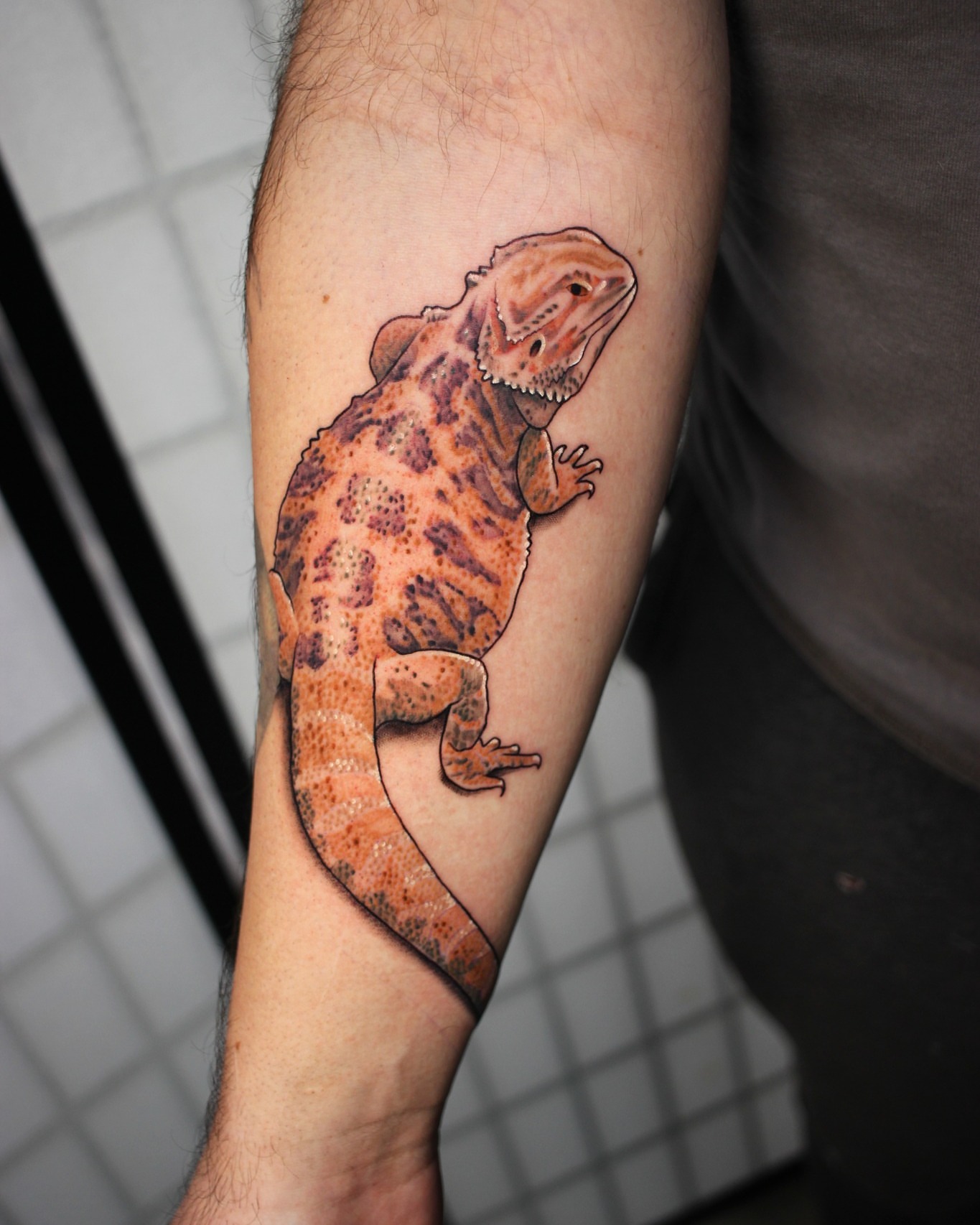 Bearded dragon realism tattoo on the forearm by Dustin Quillen Tattoo Artist, Campbellsville, Kentucky