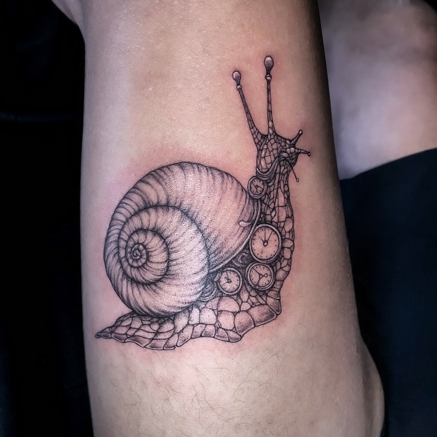 Snail realism tattoo on the forearm by 𝒥𝓊𝓃𝒾𝓅𝑒𝓇 𝒫𝑜𝓈𝓉 (Juju)