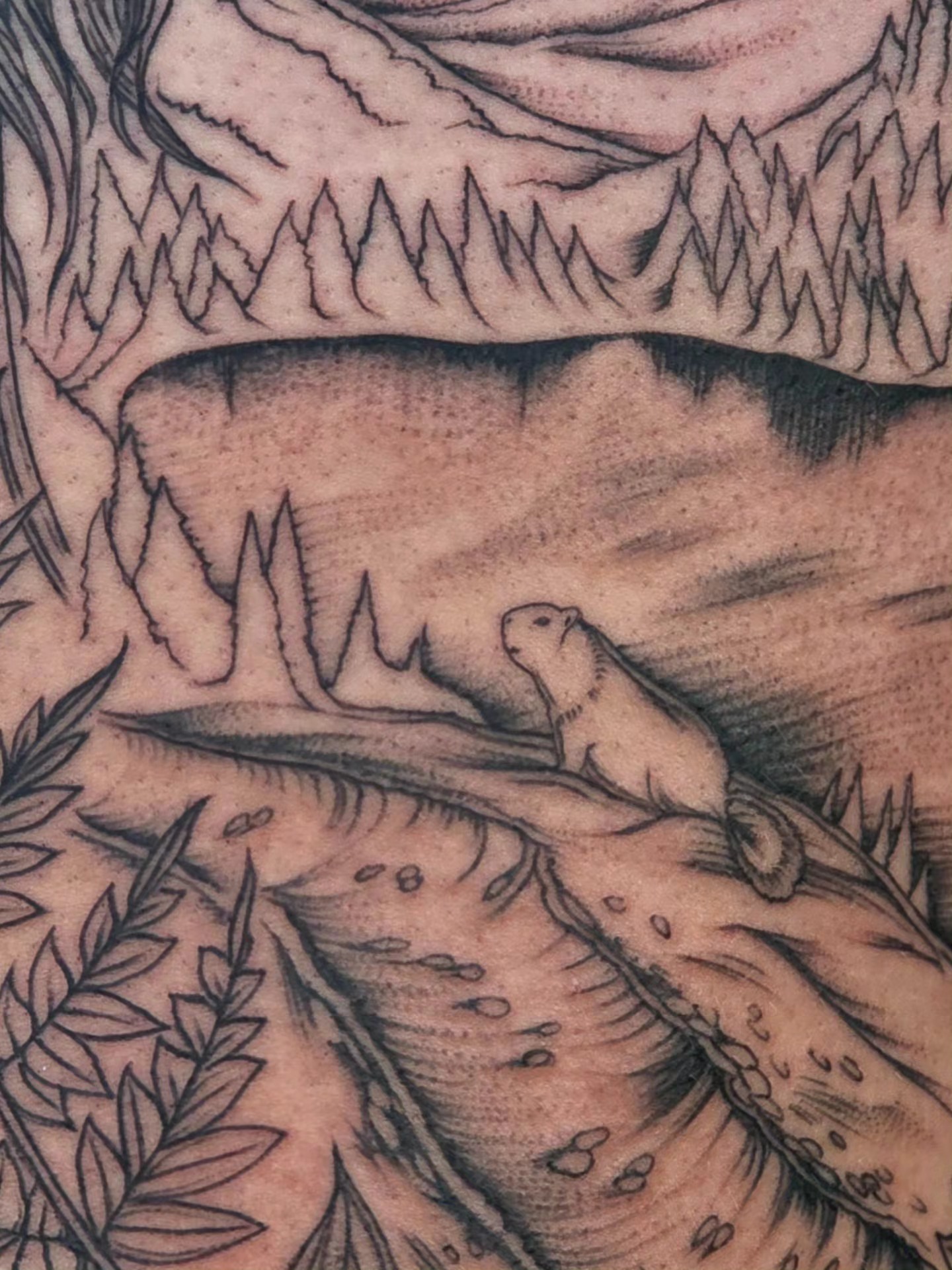 Mountain and bear black and grey tattoo on the torso by Sierra (cc) Klein