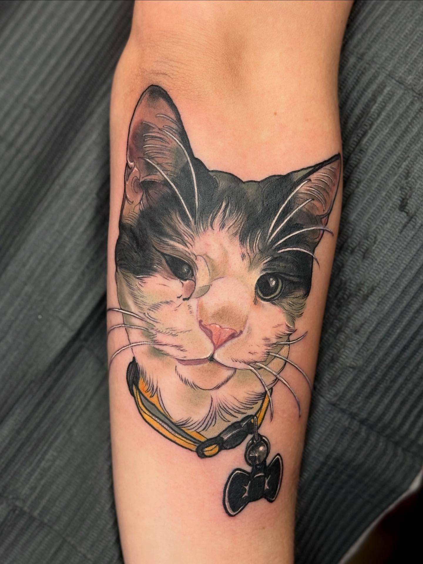 Cat realism tattoo on the forearm by Rachael Shelly