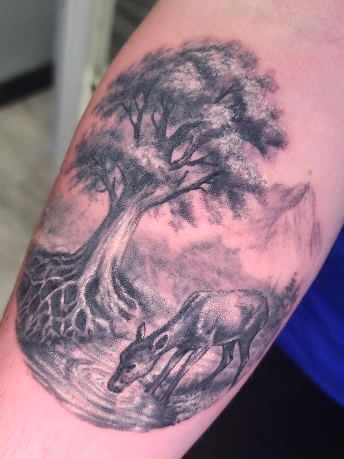 Deer and tree realism tattoo on the forearm by Zach Mullins