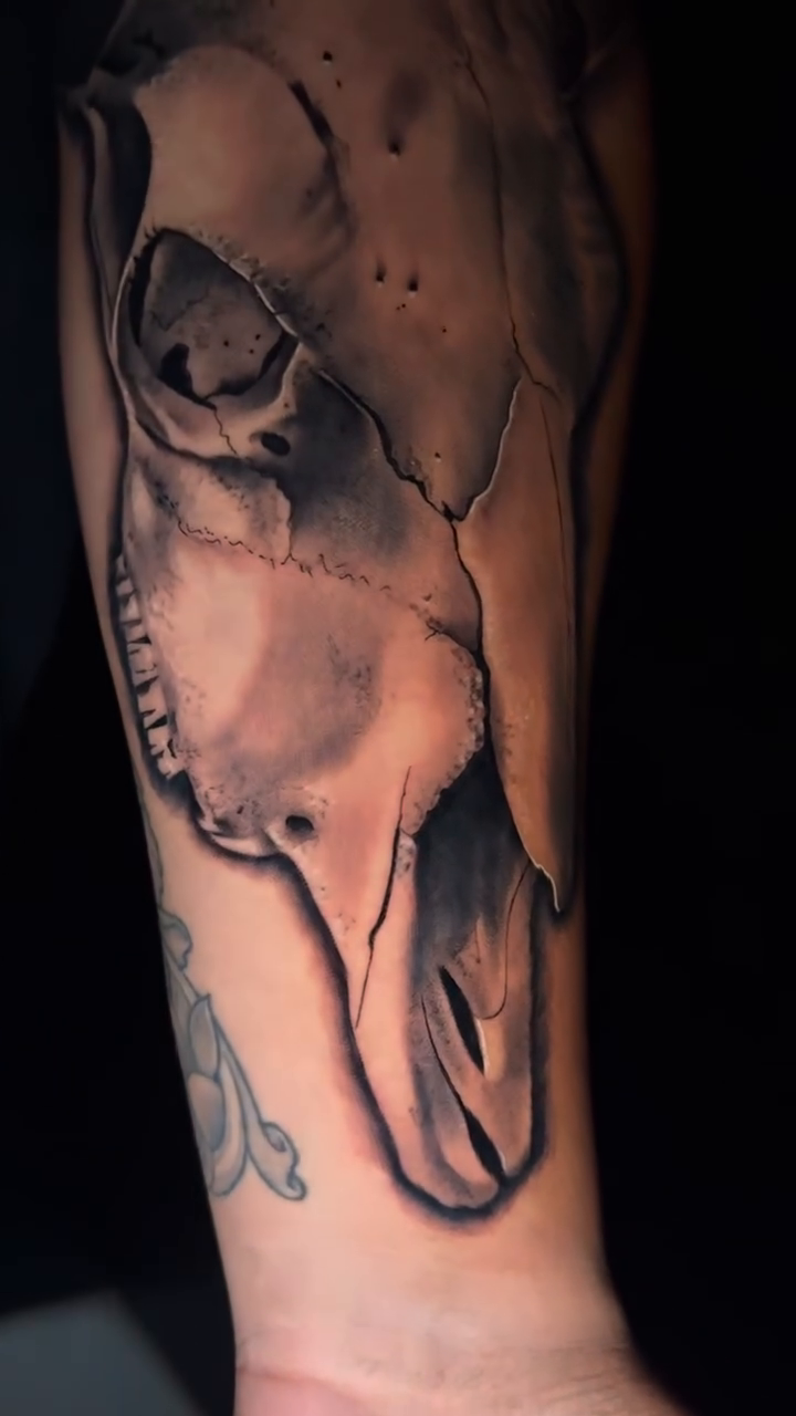 Cow skull realism tattoo by Kaleb Trujillo