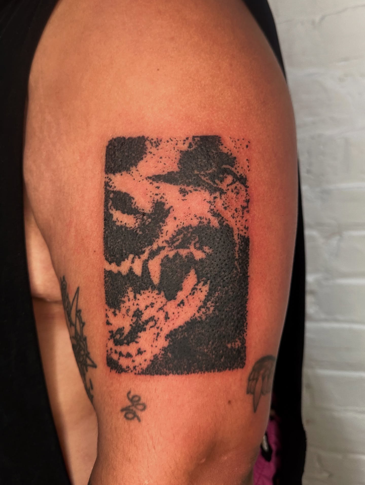Skull dotwork tattoo on the upper arm by πΈππππππ