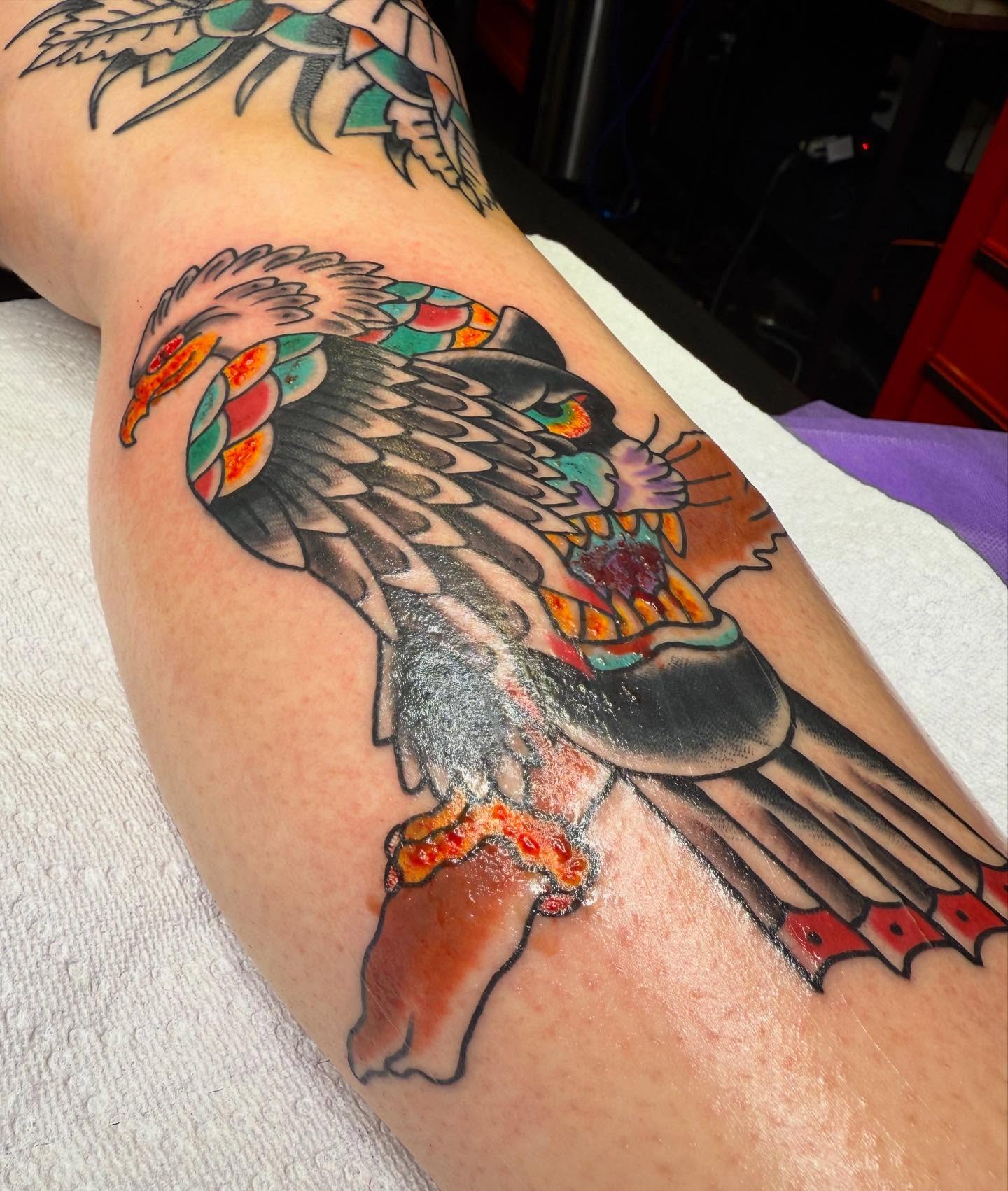 Eagle American traditional tattoo on the forearm by Brendan Willbern, Austin, Texas
