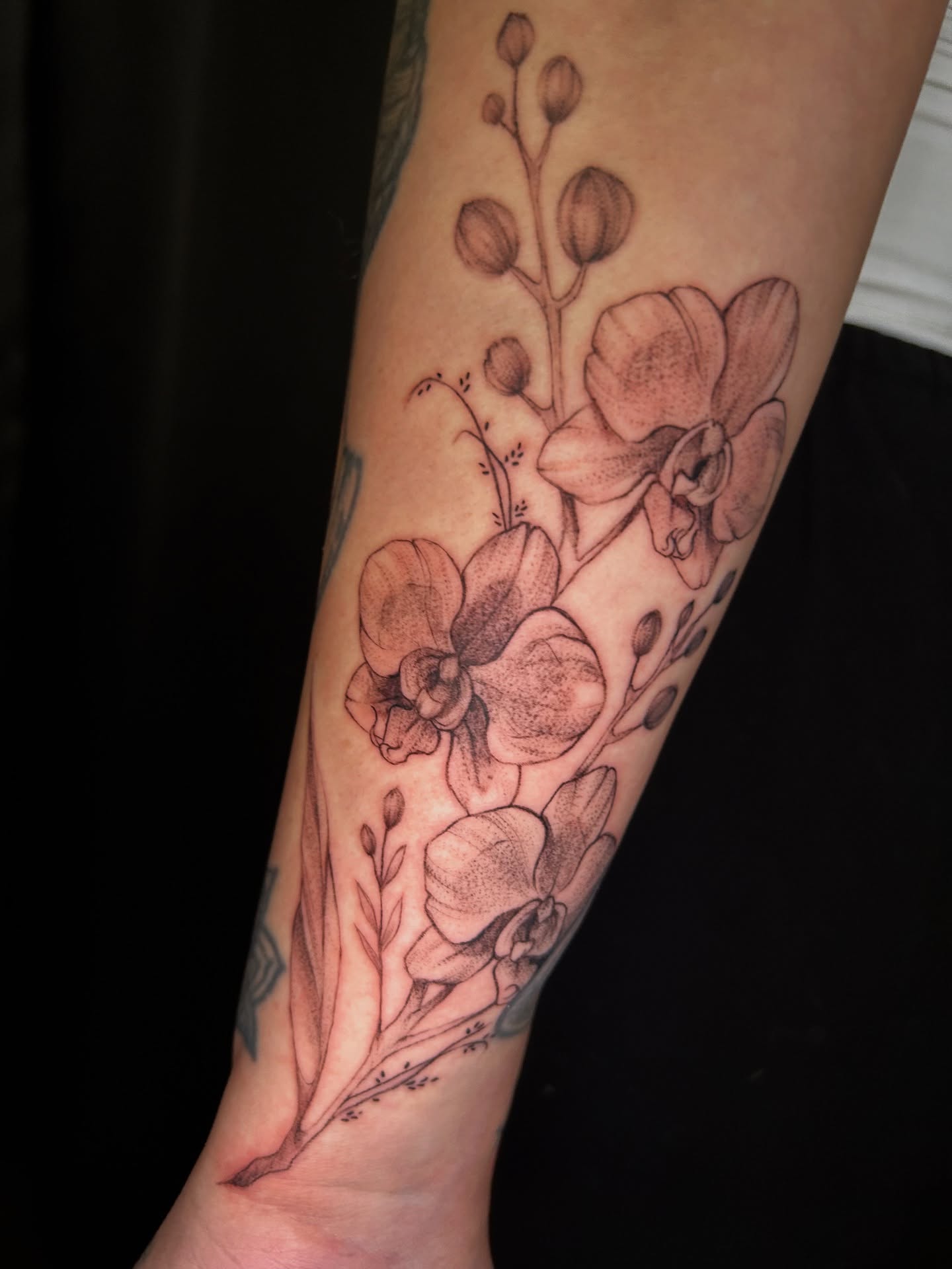 Tattoo by @angiestoki — black_and_grey
