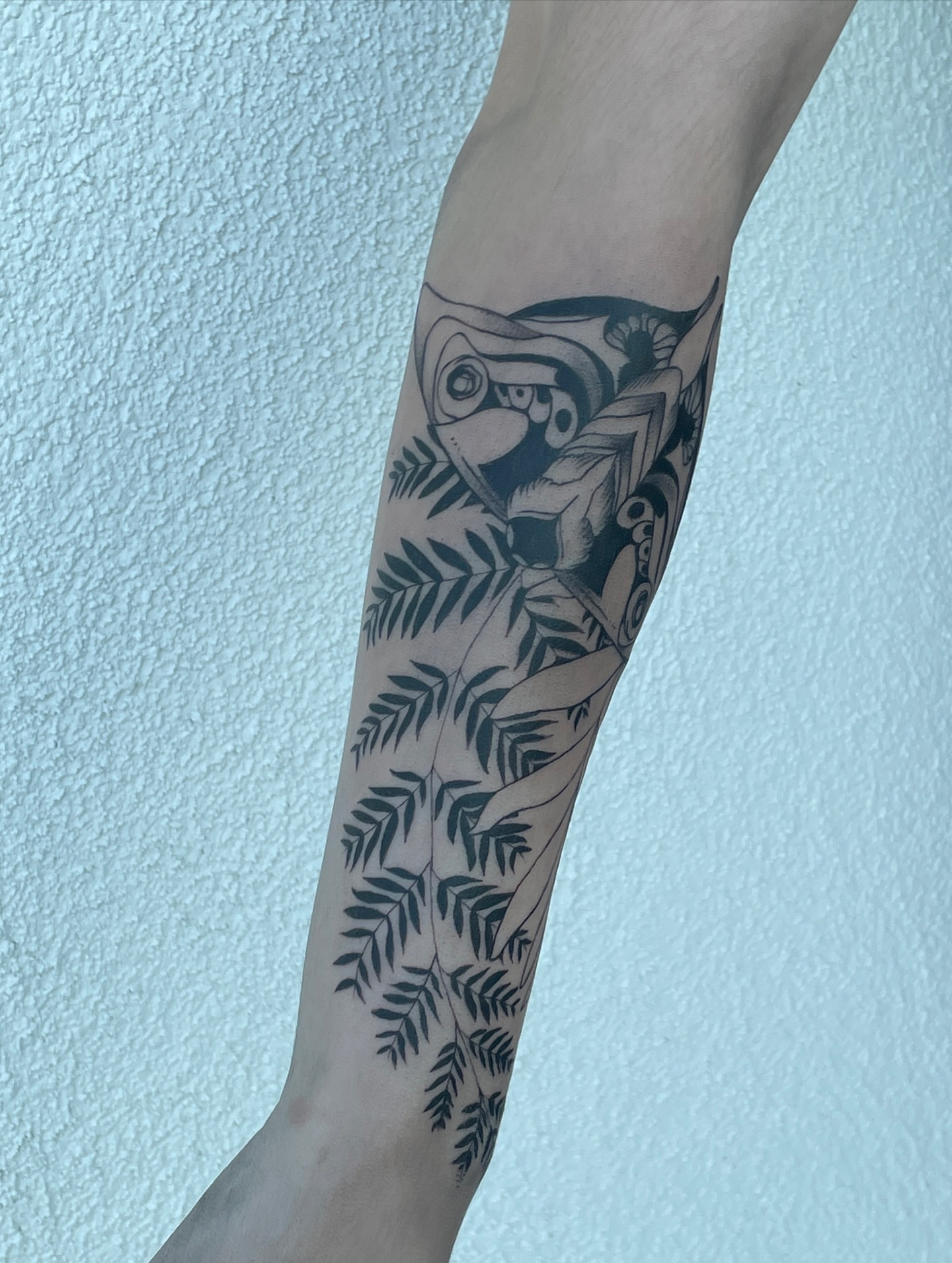 Toucan and leaves black and grey tattoo on the forearm by Mia 	\(★ω★)